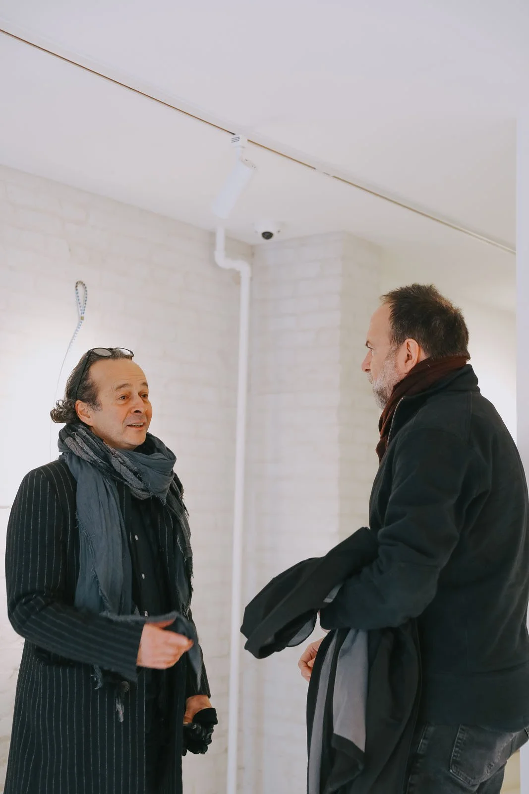 invisibledog125-2 copy.jpg