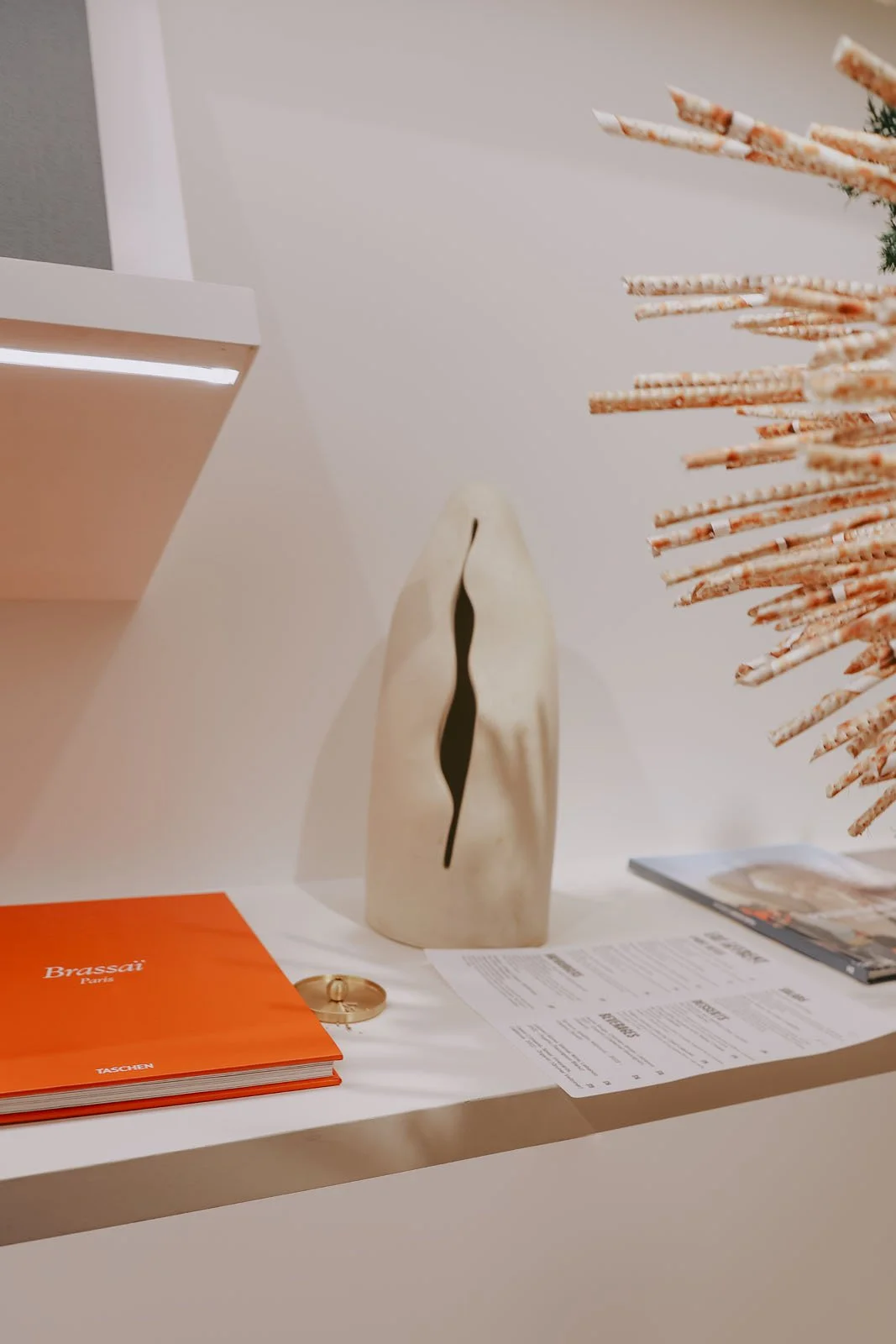 invisibledog162 copy.jpg