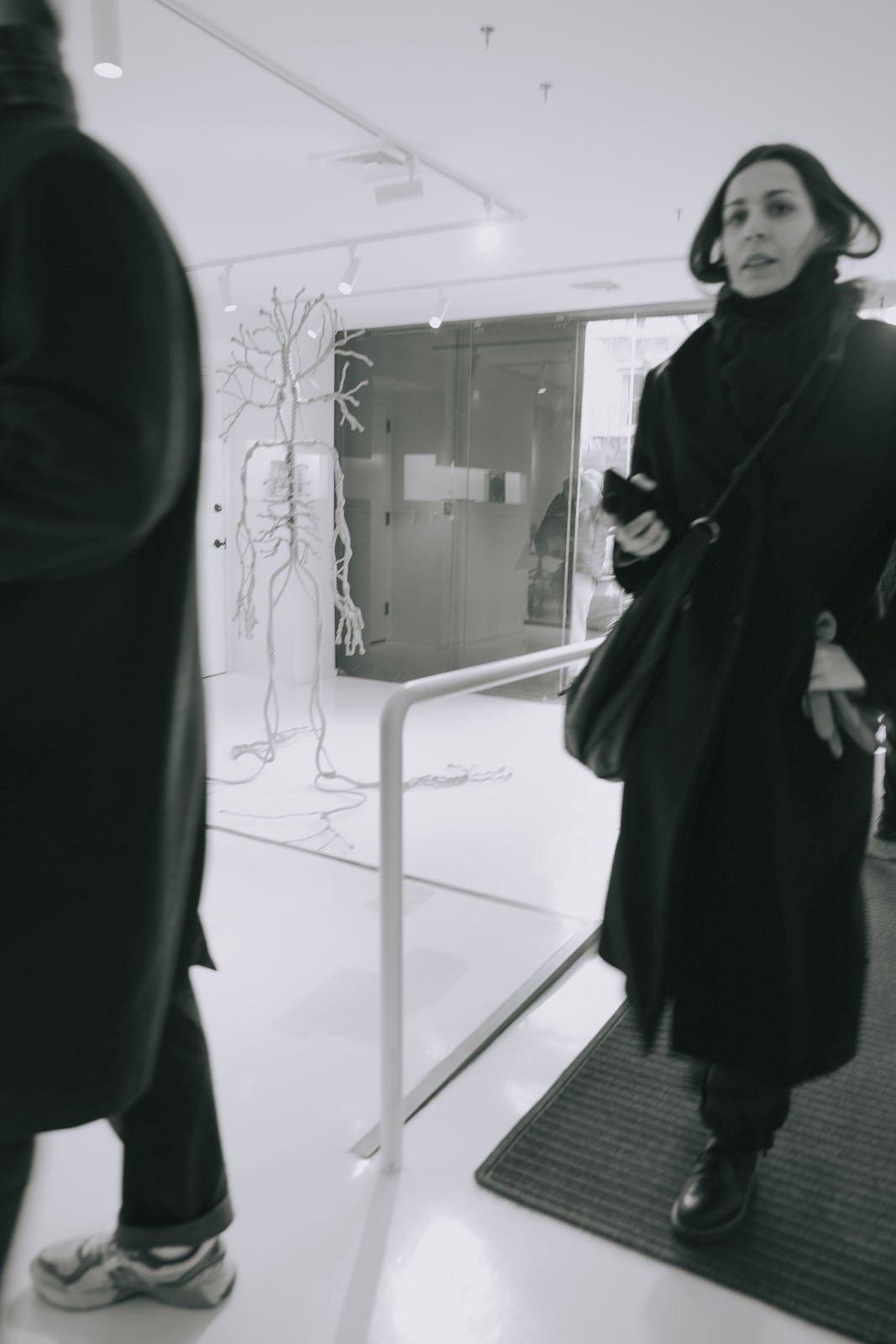 invisibledog180 copy.jpg