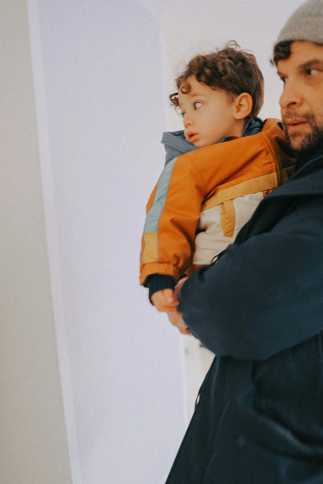 invisibledog181 copy.jpg