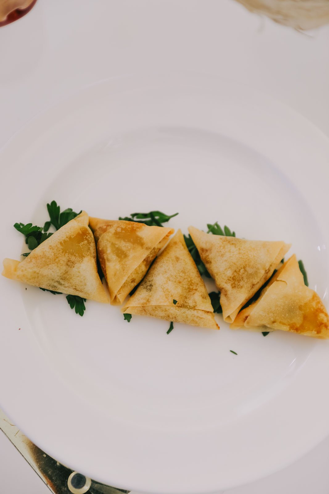 invisibledog223-2 copy.jpg