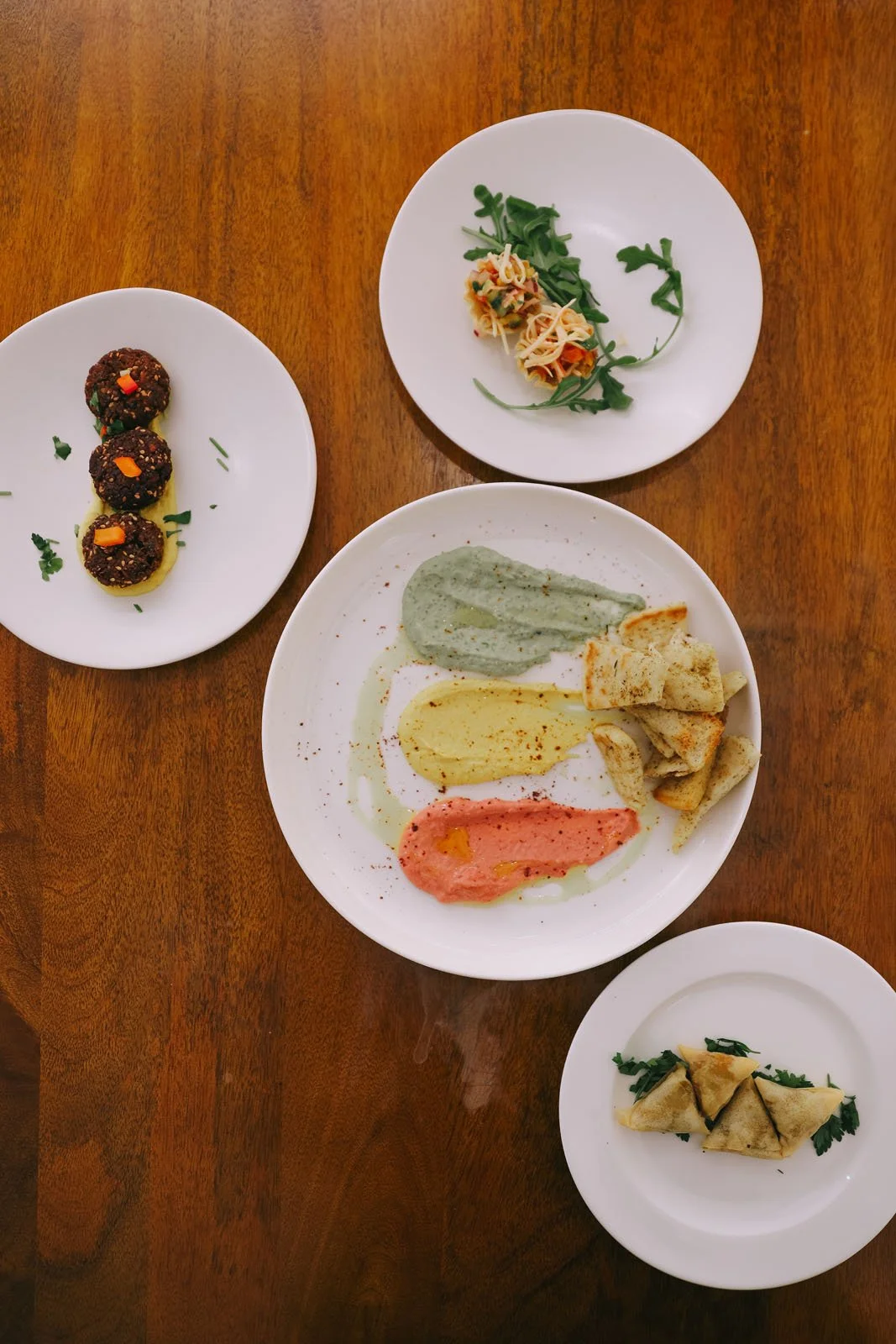 invisibledog224 copy.jpg