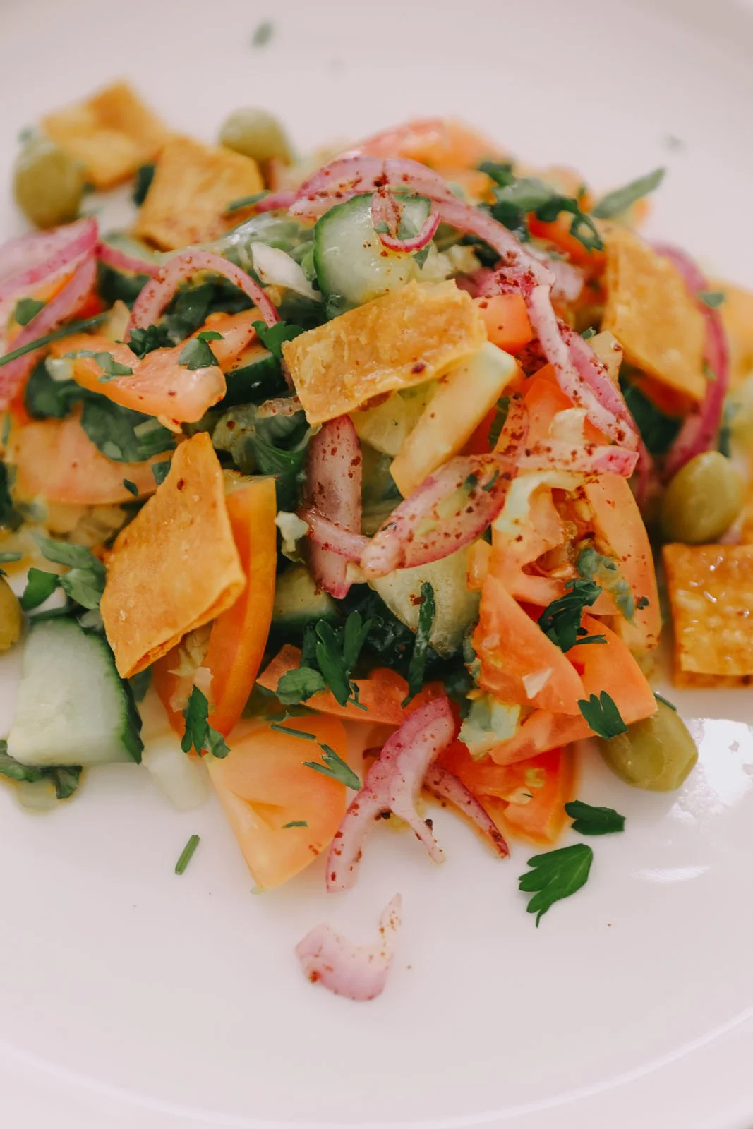 invisibledog226 copy.jpg