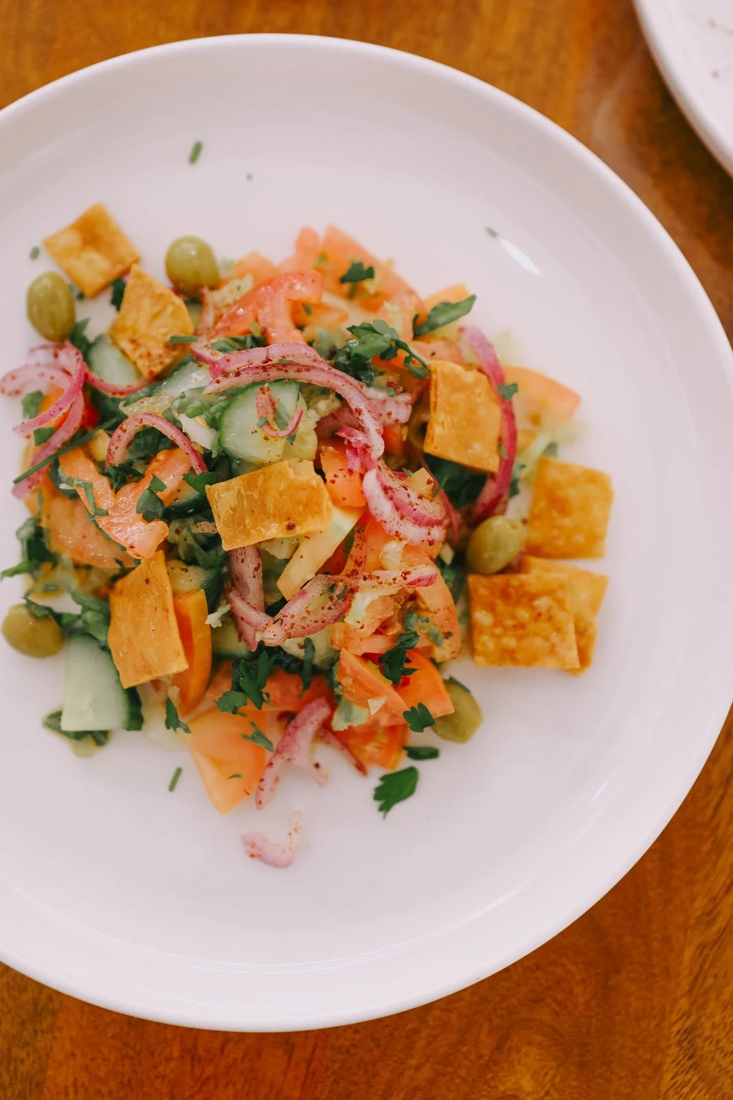 invisibledog227 copy.jpg