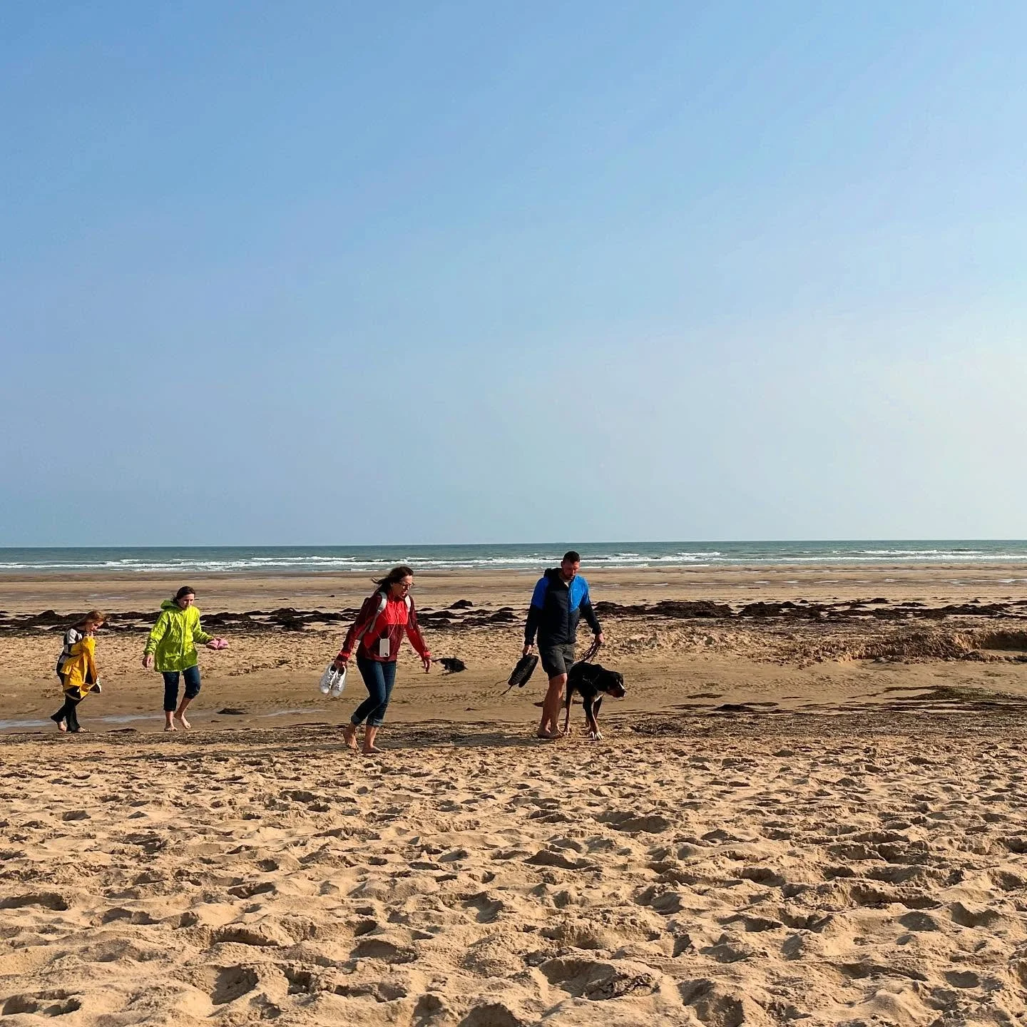 My new Substack is live! A morning at Ohama Beach in Normandy. To read the full story, visit my account with bio link. (free post) 

When I woke up at 5:30 a.m., my friends-hosts in Normandy were just back from a wedding party I had declined to join 