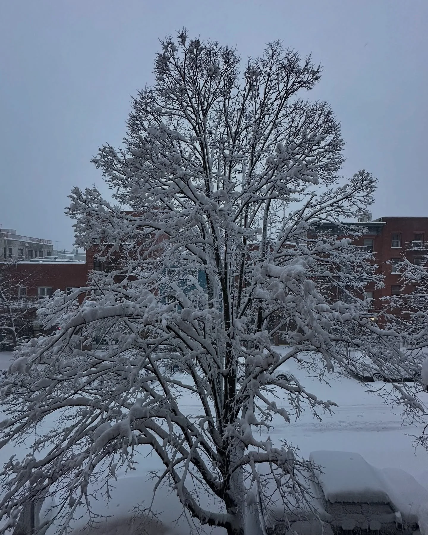 Good morning New York City