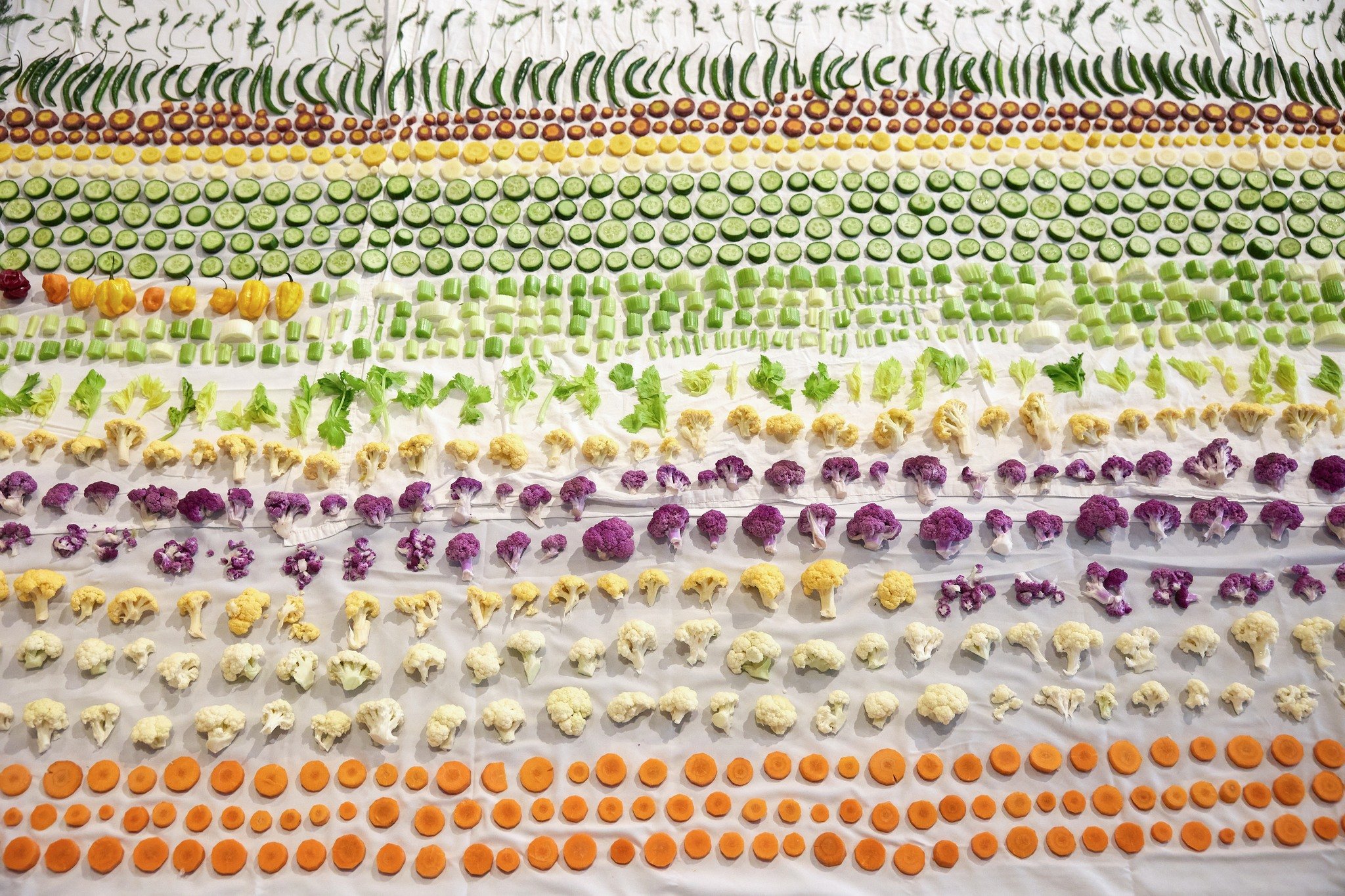 Neurodivergent Pickling / Julie Dind