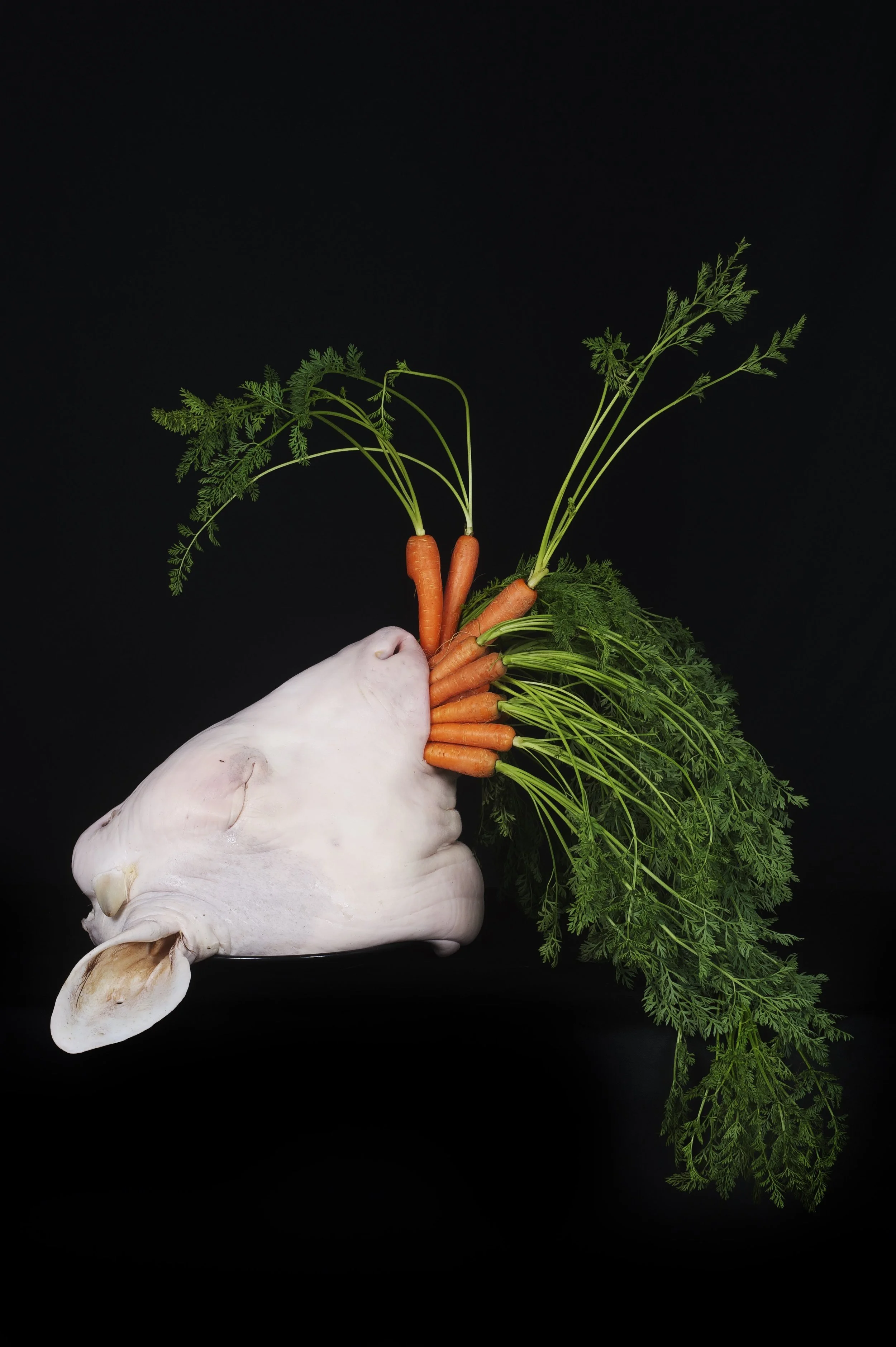 36.boeuf-carottes-web.jpeg