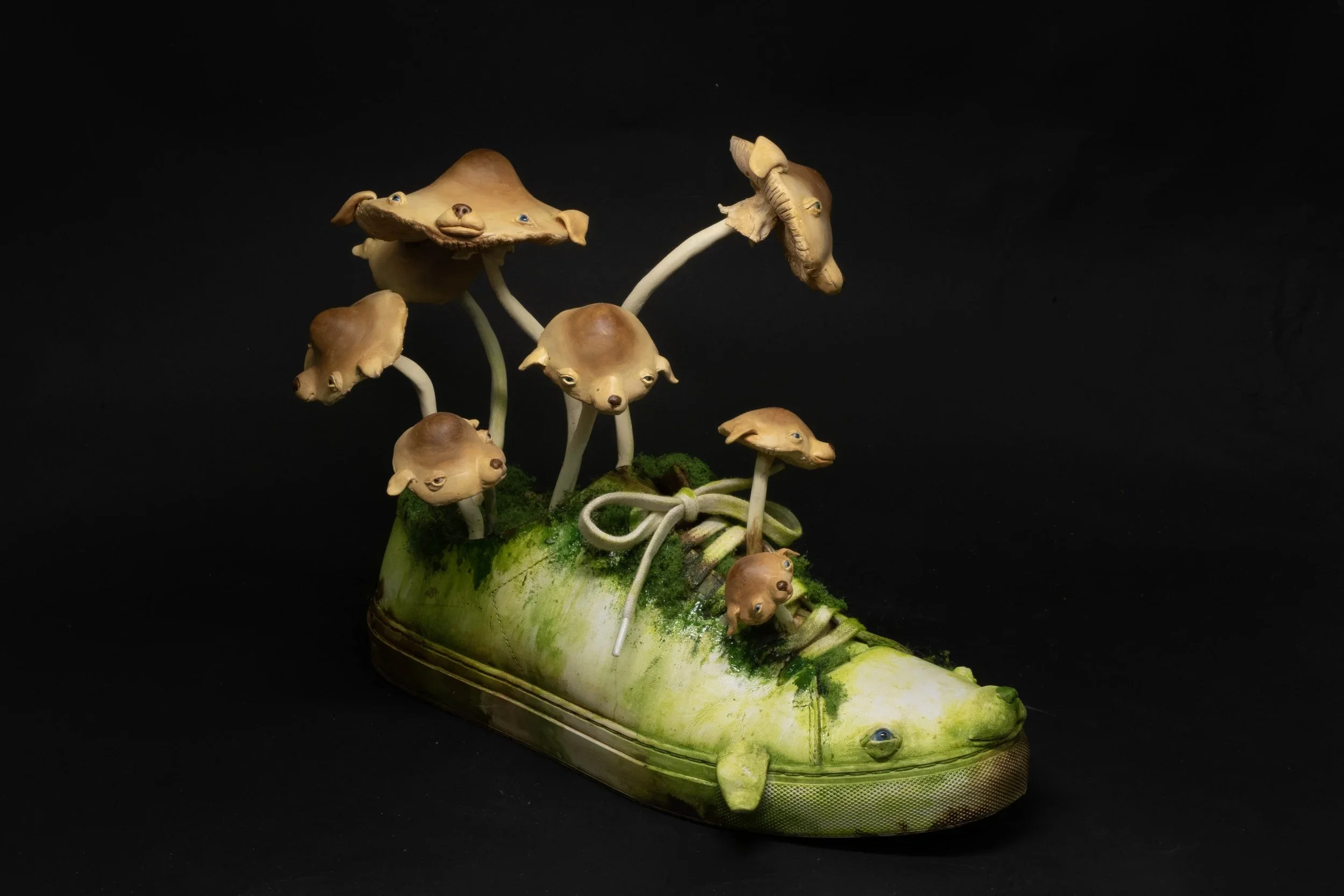 mushroom.webp