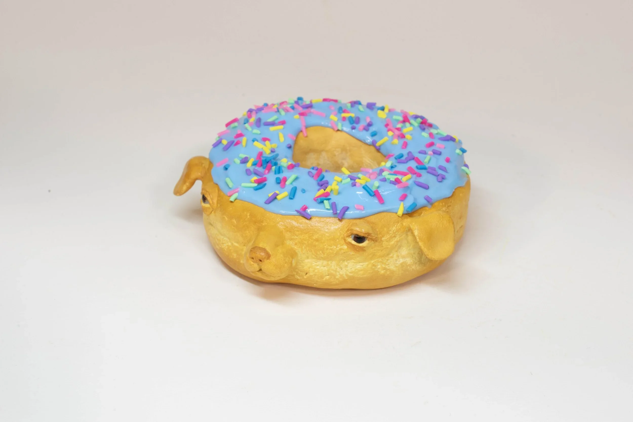 sprinkle+donut.webp
