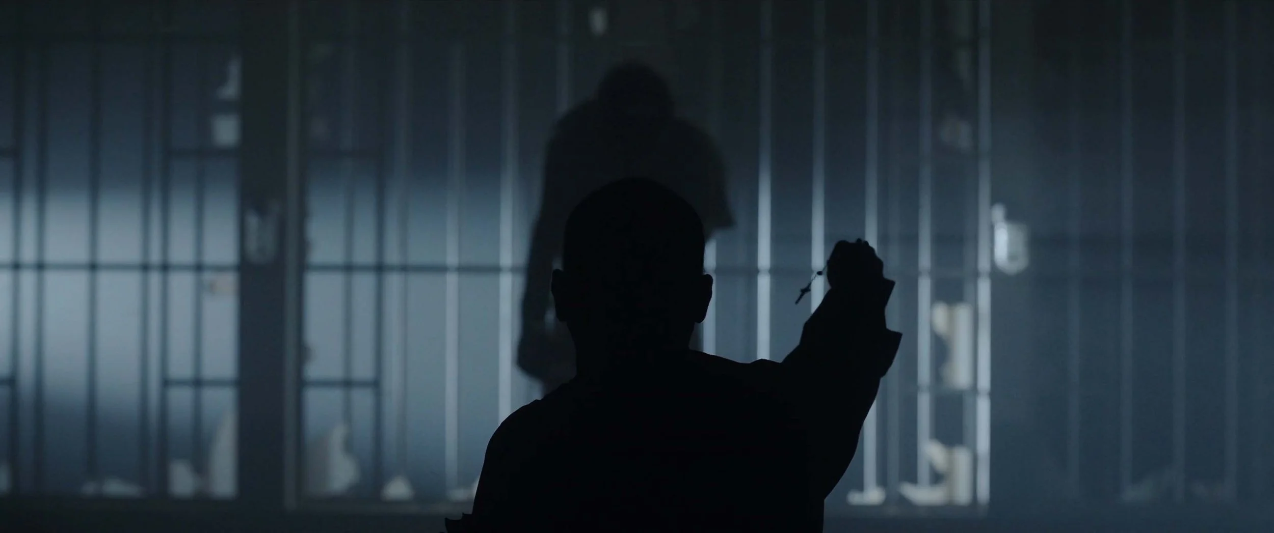C3 Stills_0015_Layer 82.jpg