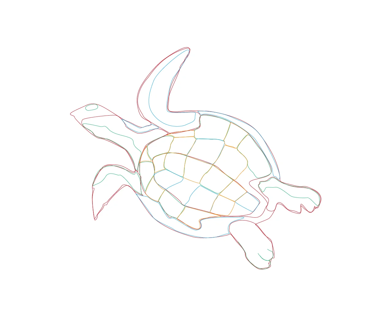 SeaTurtle BottomView_Portfolio-100.jpg