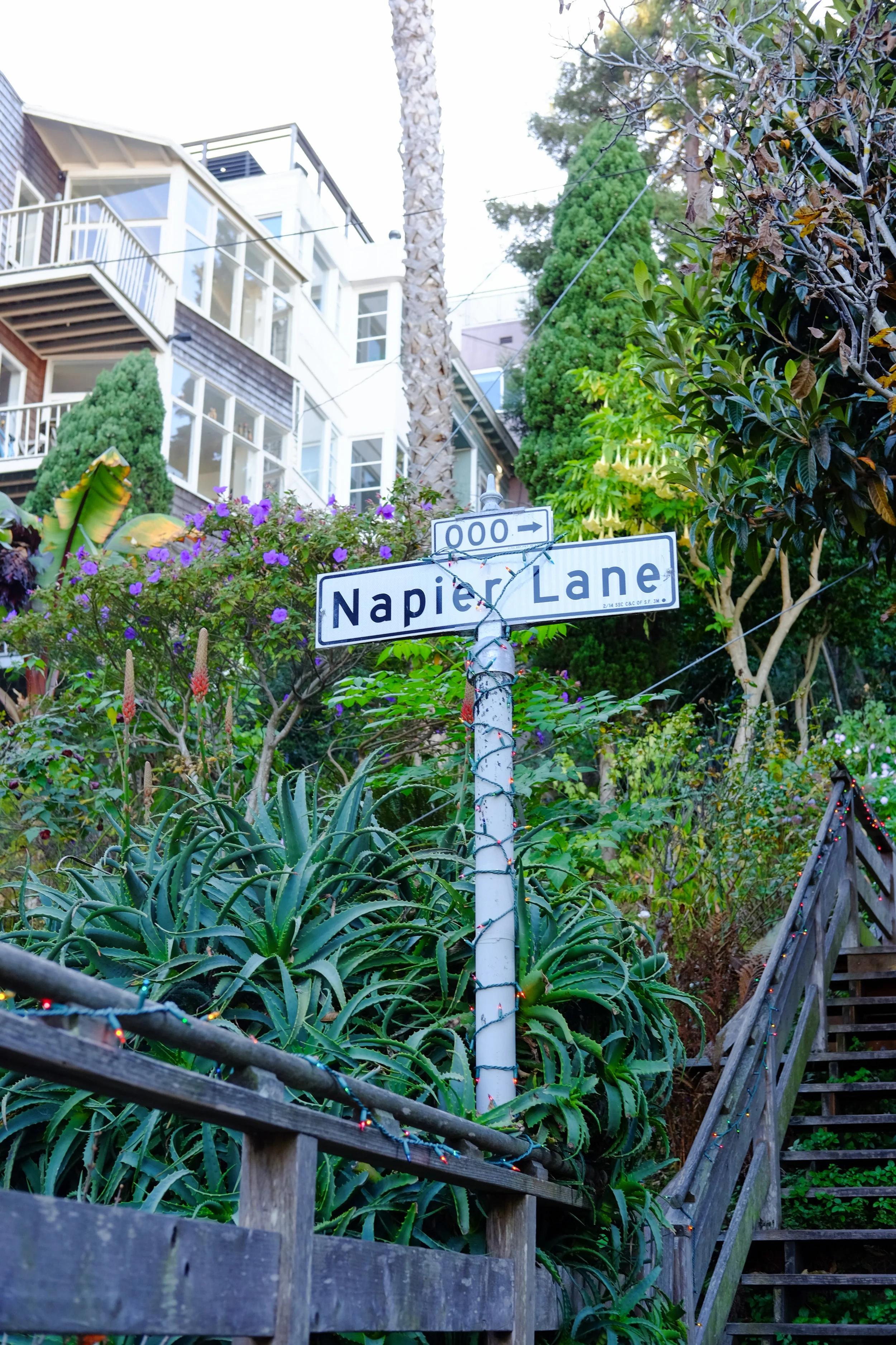 NapierLane.jpg