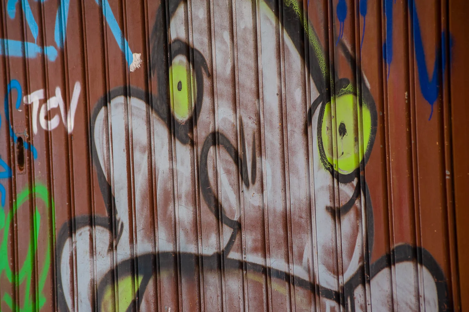 IMGP-0335.jpg