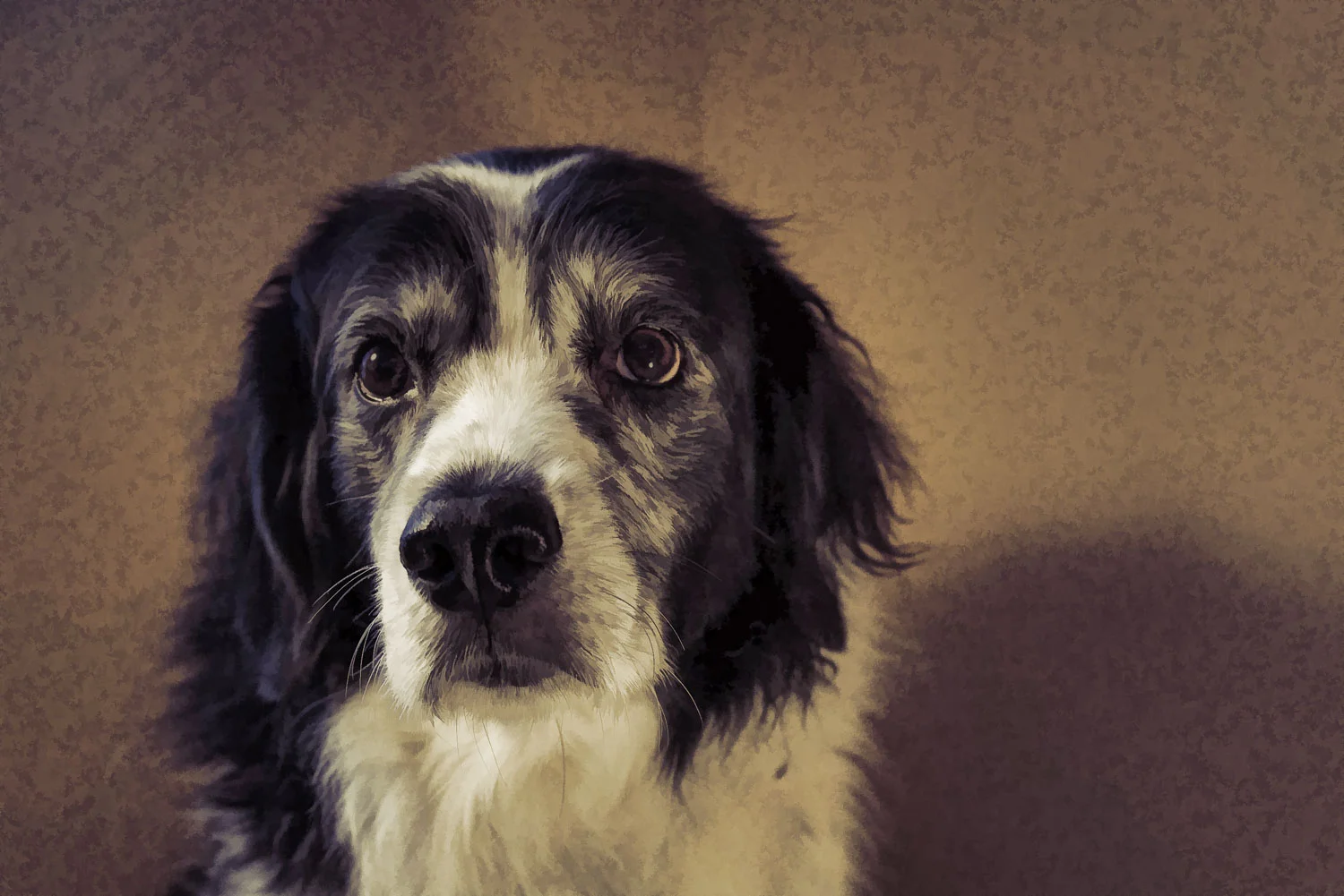 Best. Dog. Ever.