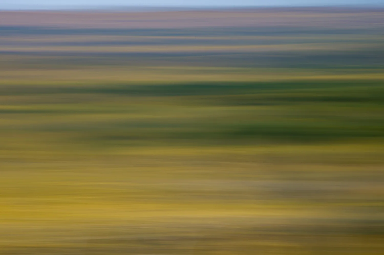 Blueberry Hill, Cook County, MN