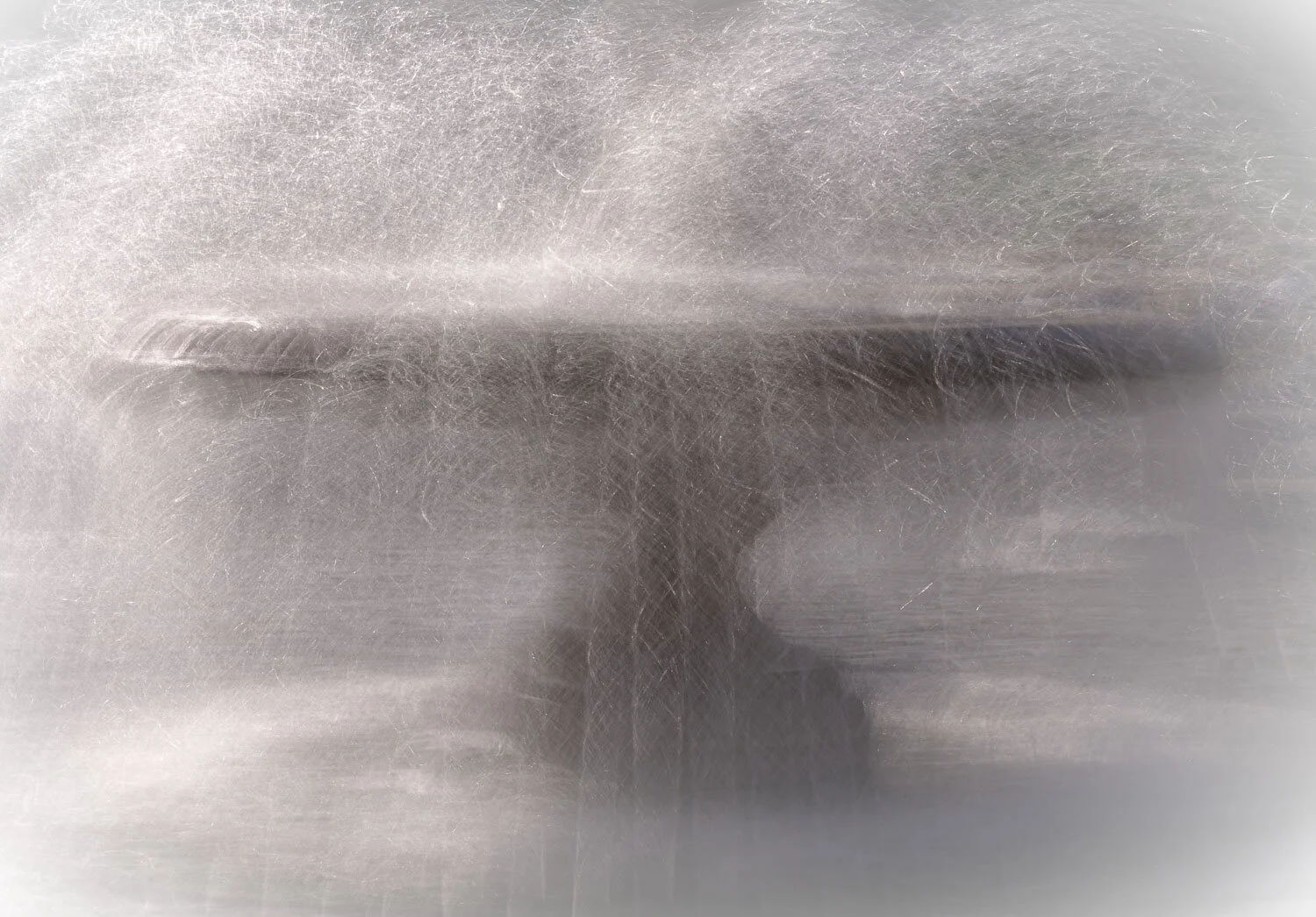 Rideout Memorial Fountain, Golden Gate Park, No.1