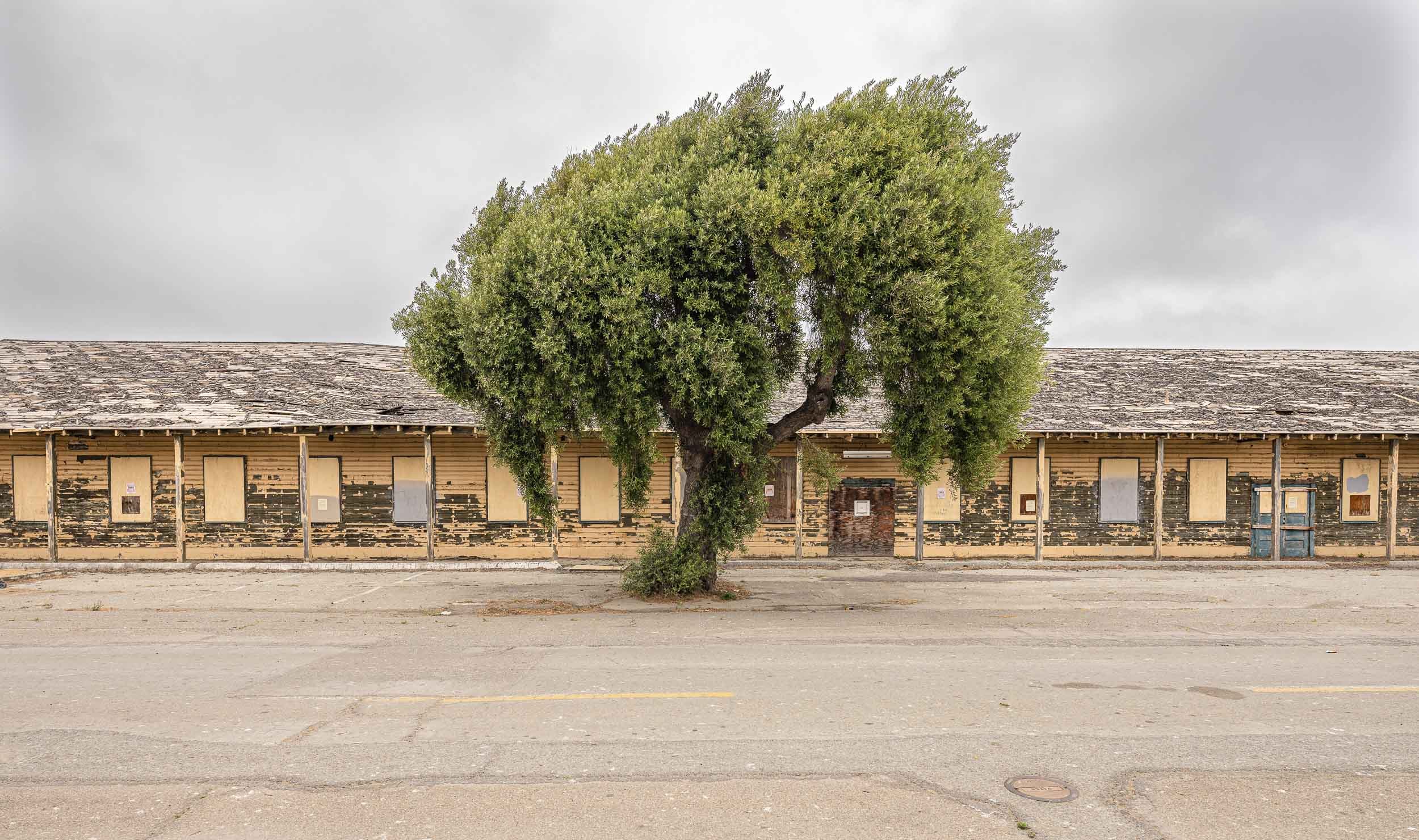 BayMilitary IMGP-.jpg