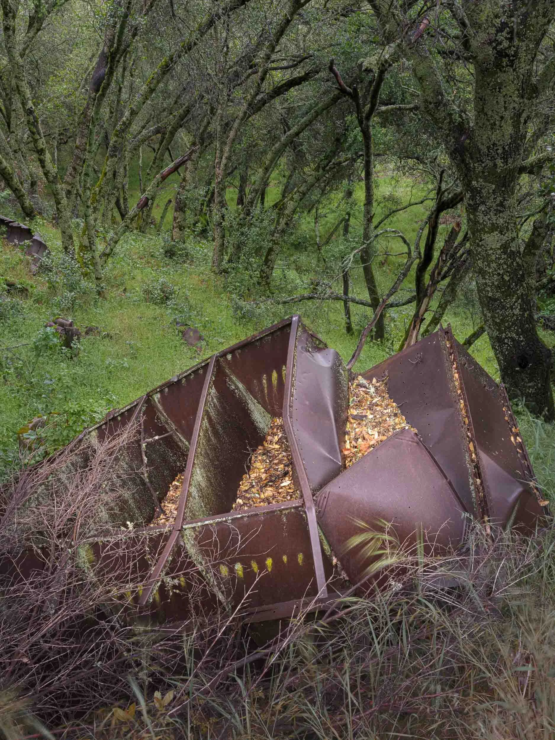 Roadside Gold Country - DSCF6968.jpg