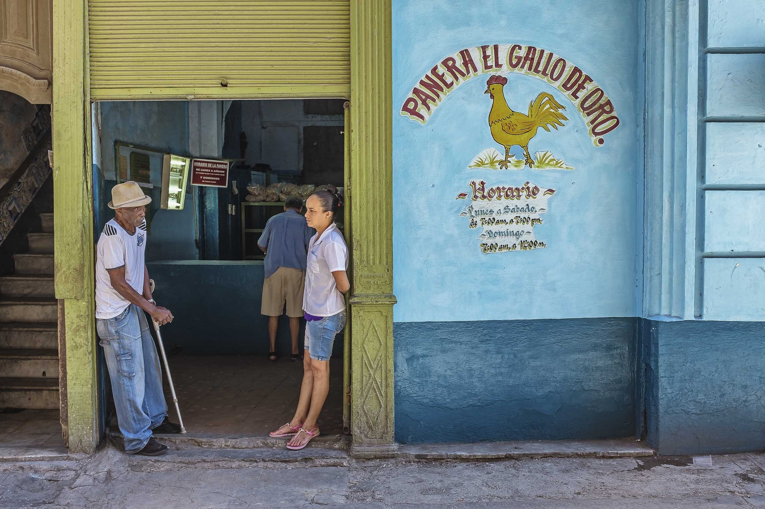 Panera El Gallo de Oro, Havana