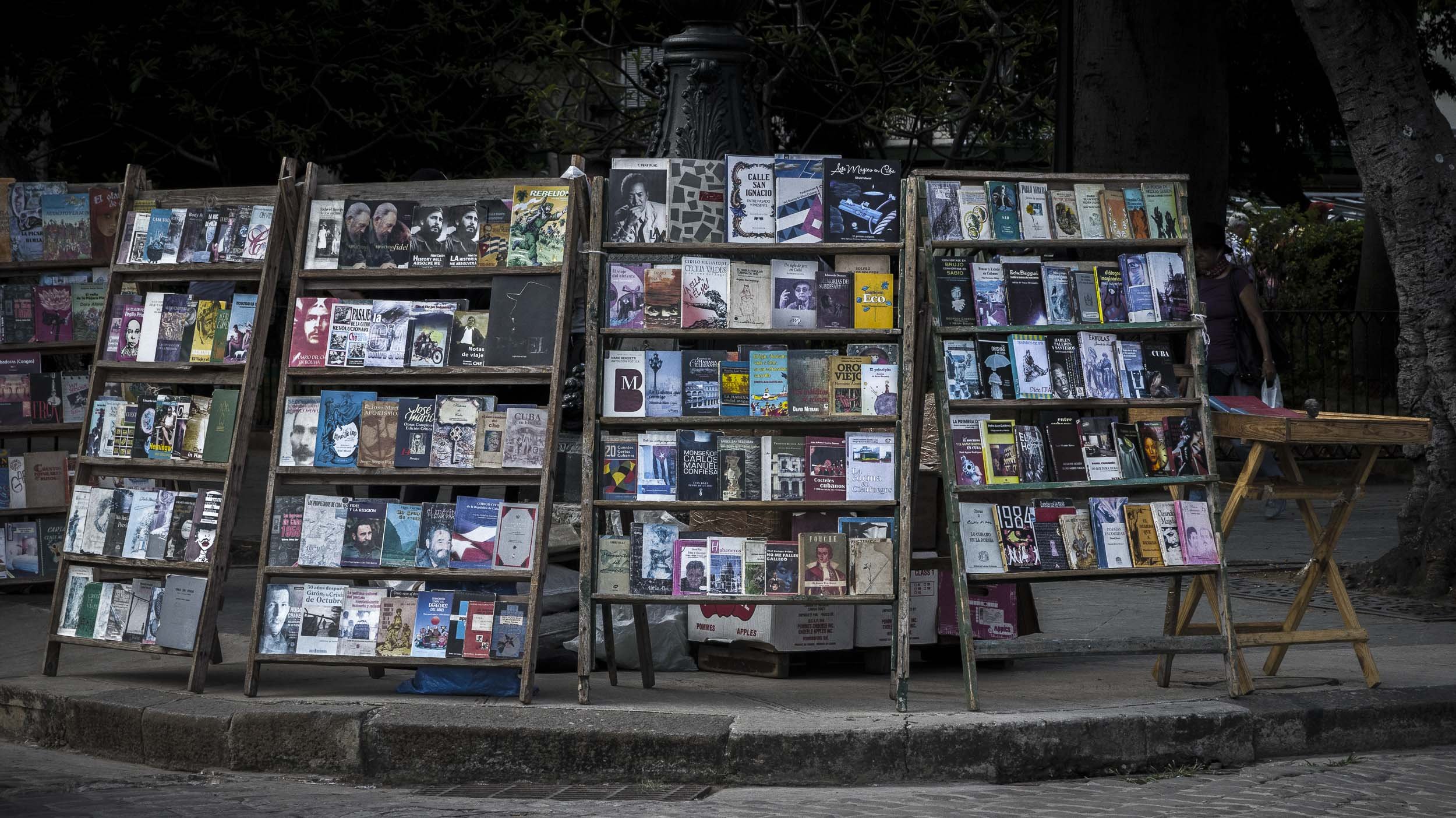 Havana Book Vendor