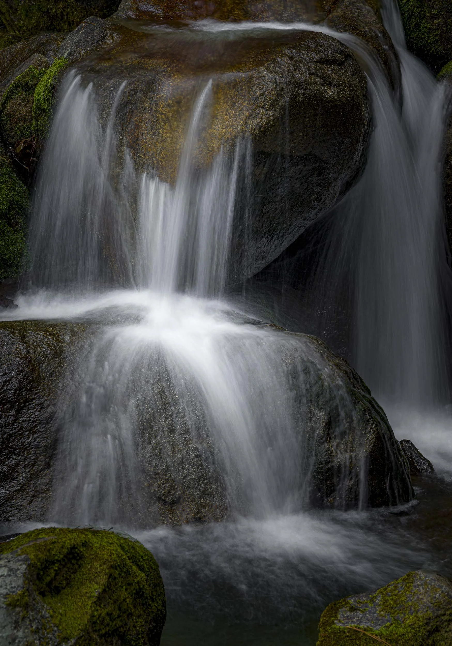 Cascade Creek II, Yosemite N.P.