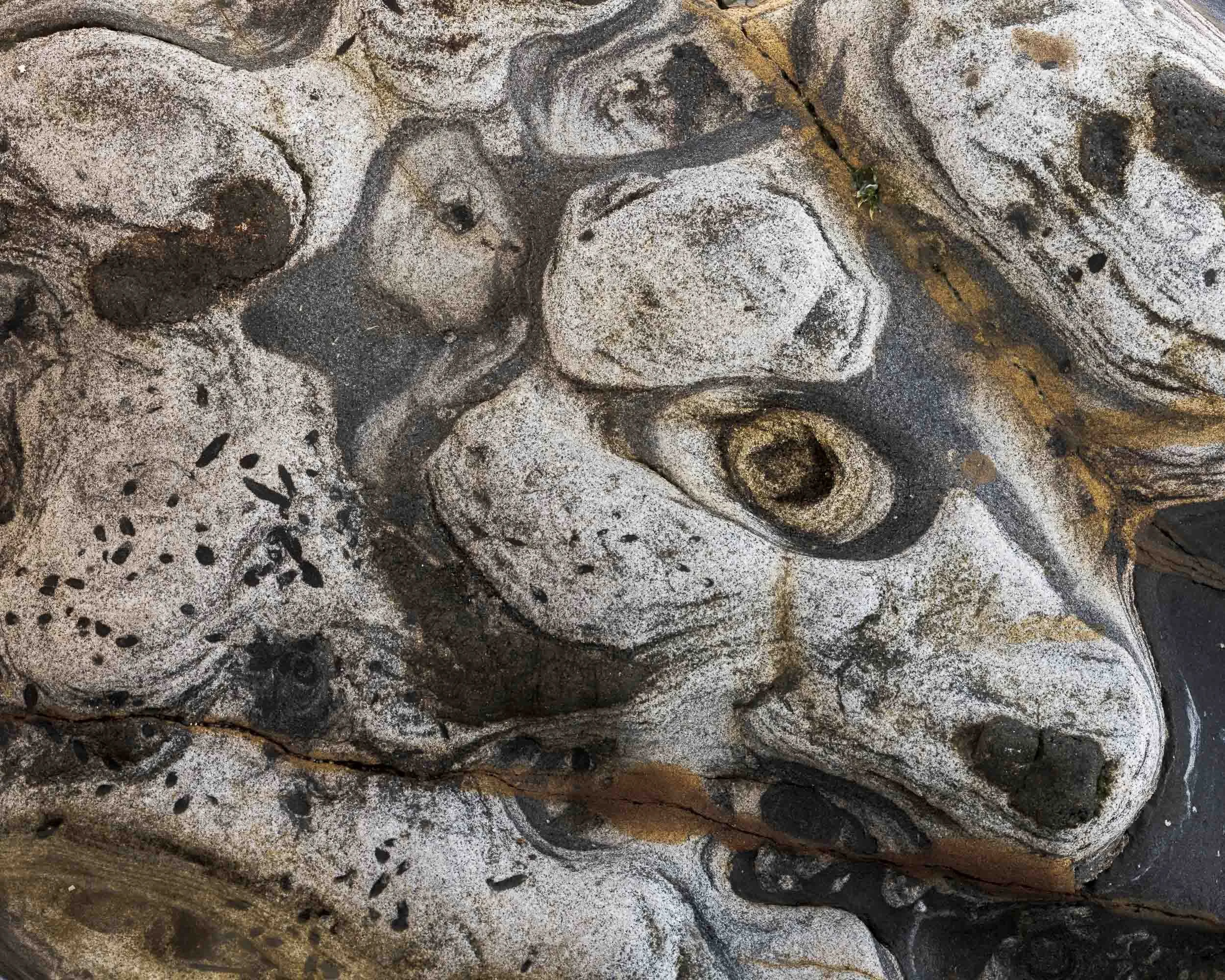 Weston - GFXR4706.jpg