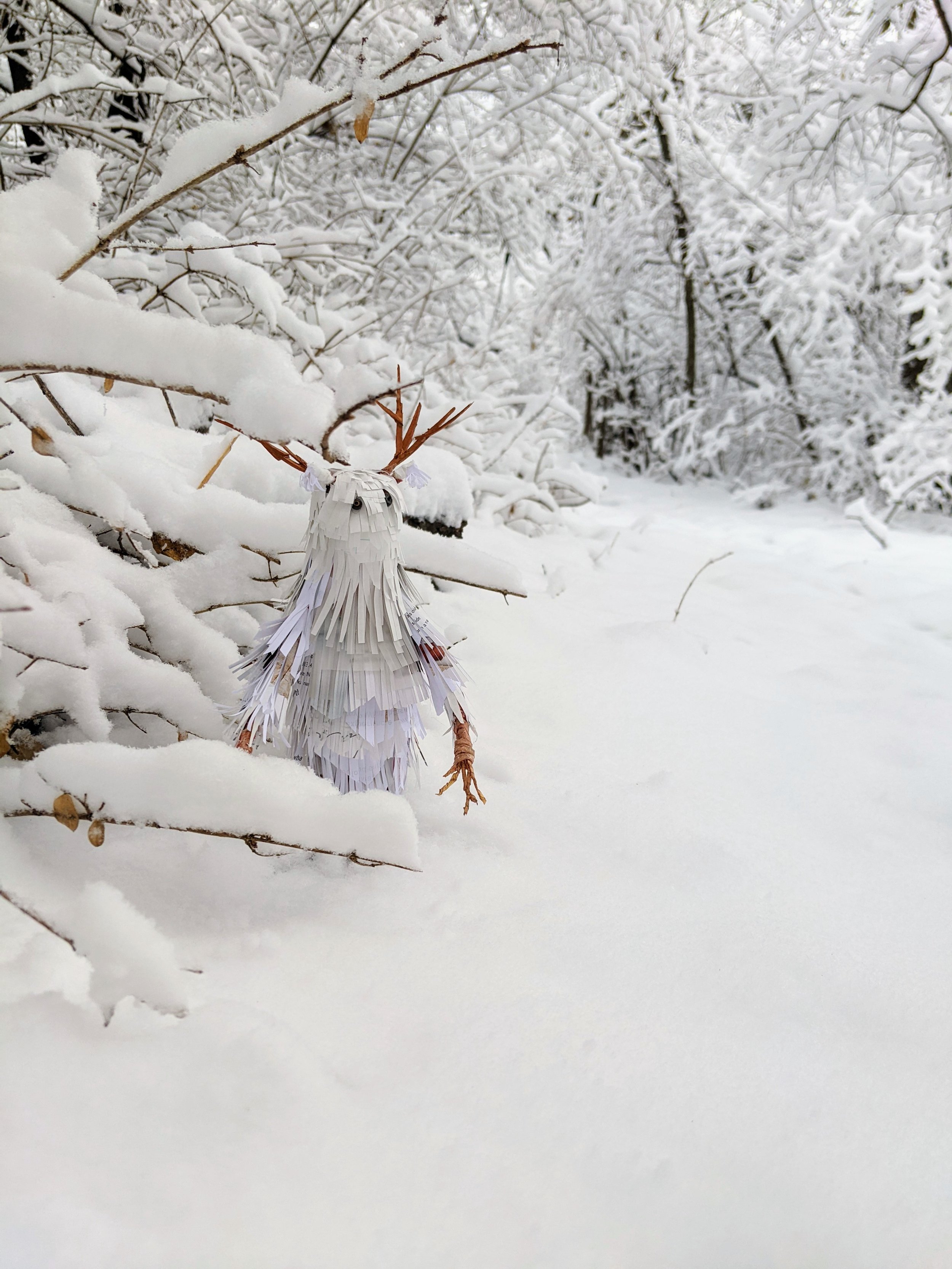 Wendigo-Snow-Path.jpg