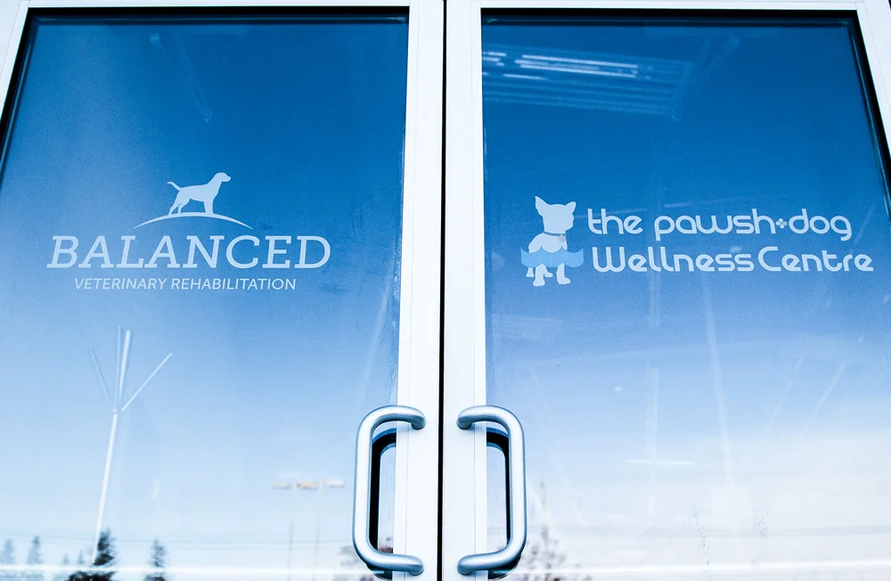 balanced-doors-actual-web.jpg