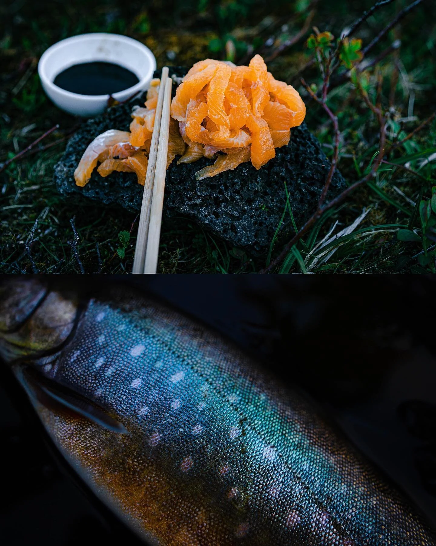 My first fish in Iceland was turned into sashimi, served lakeside on a lava rock, and enjoyed with friends while watching the midnight sun dip low. A special experience that won&rsquo;t soon be forgotten. Thank you @matsohrz // @fishpartner for an in