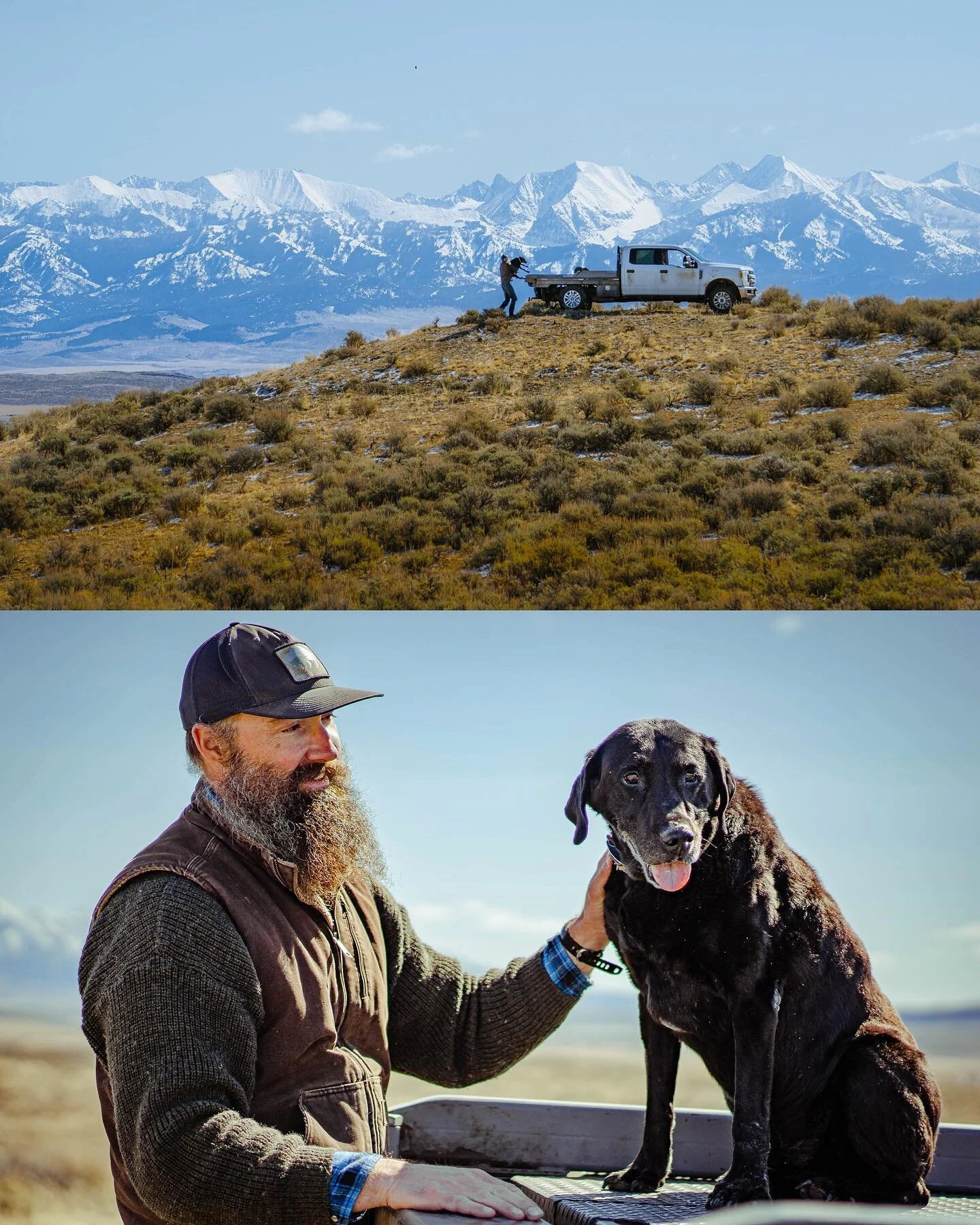 Bison rancher, Matt Skoglund, and the head of ranch security, Aldo. 🐾 @northbridgerbison // @elkandhammer