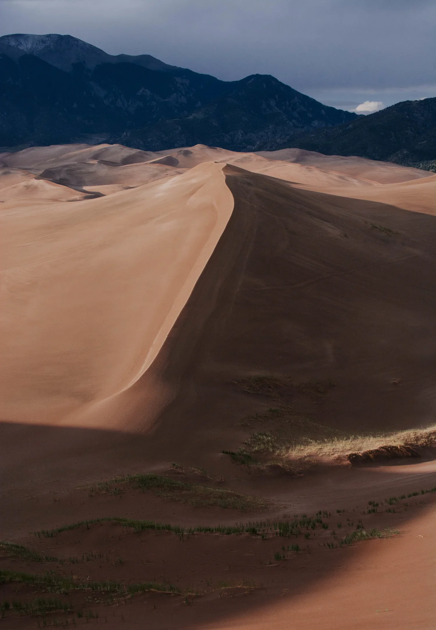 Dunes.webp