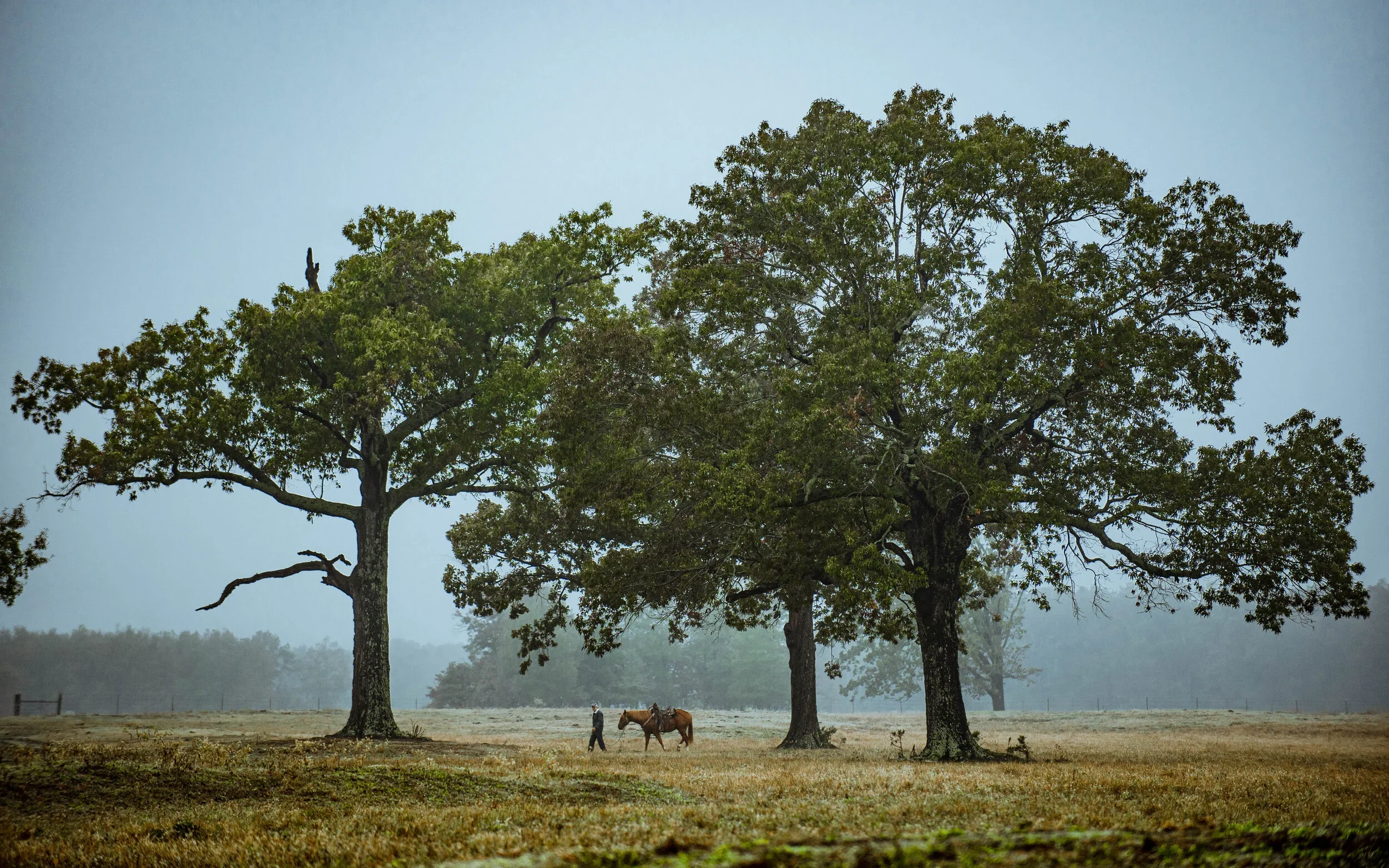 Texas.webp