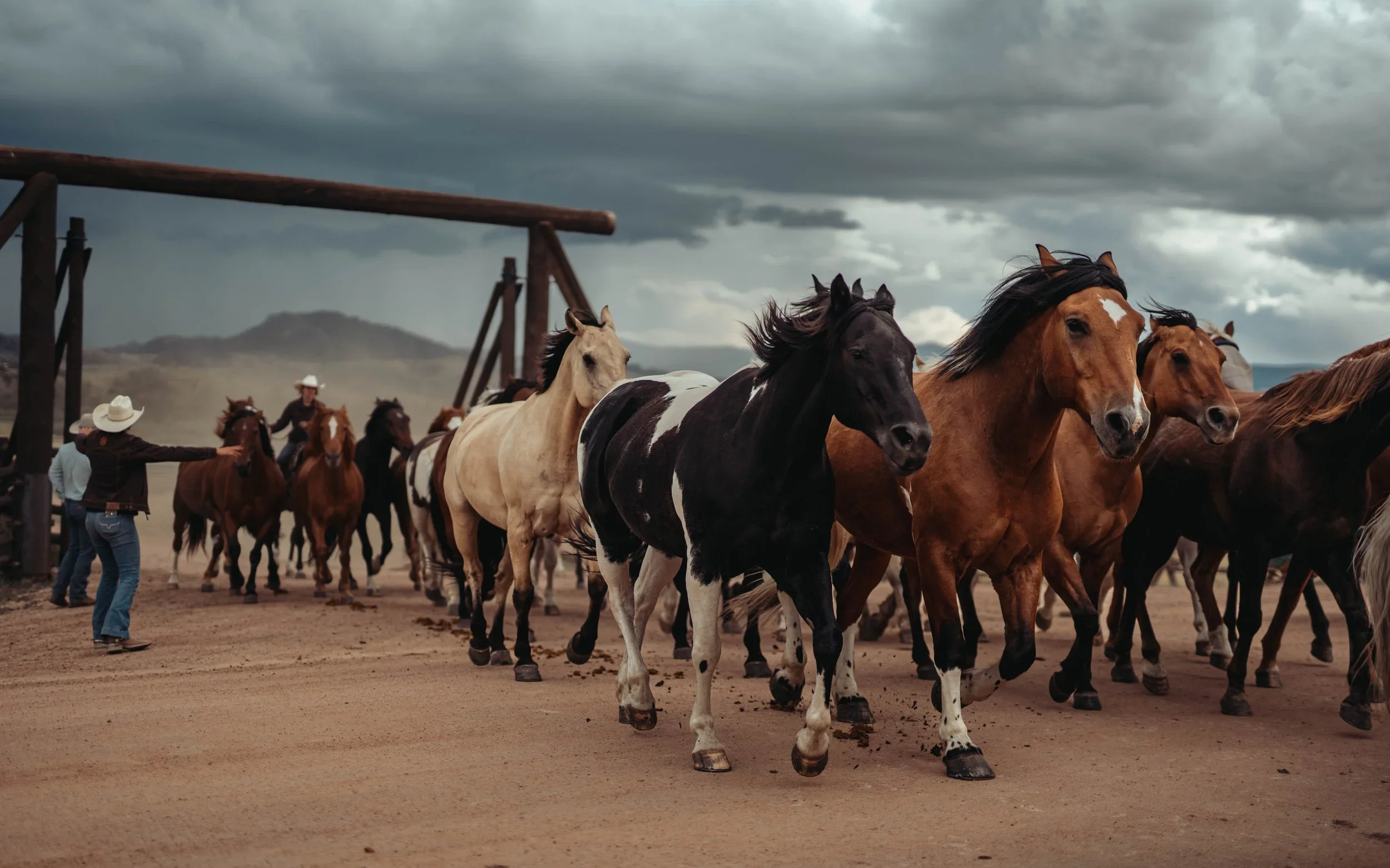 Wyoming2.webp