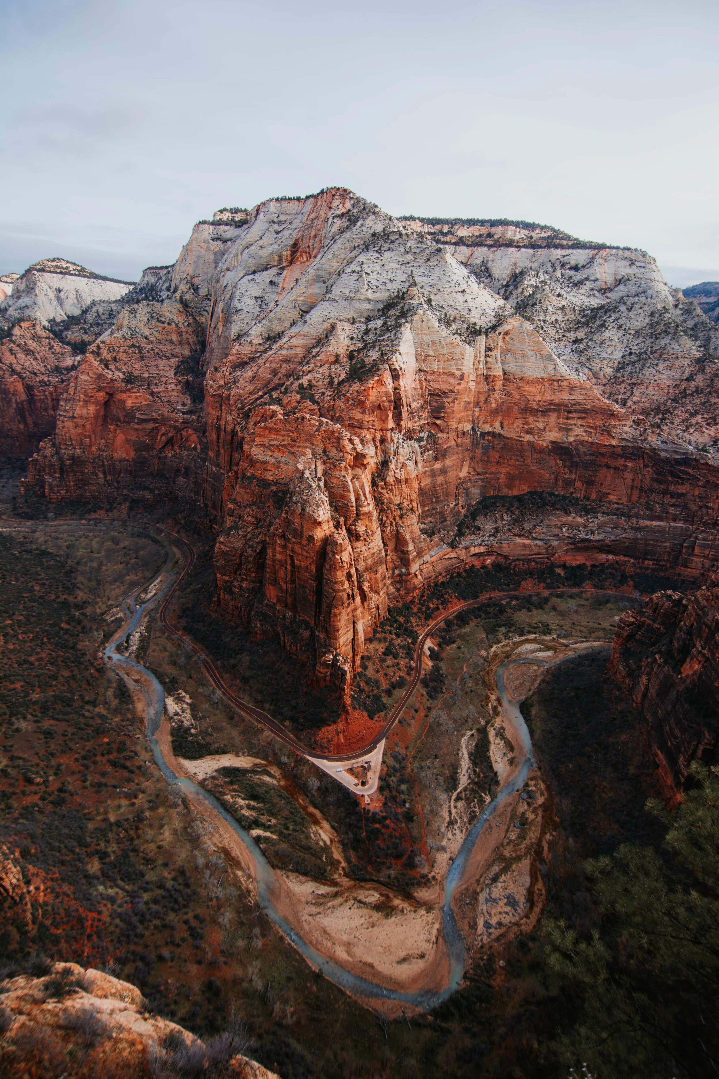 ZION.webp