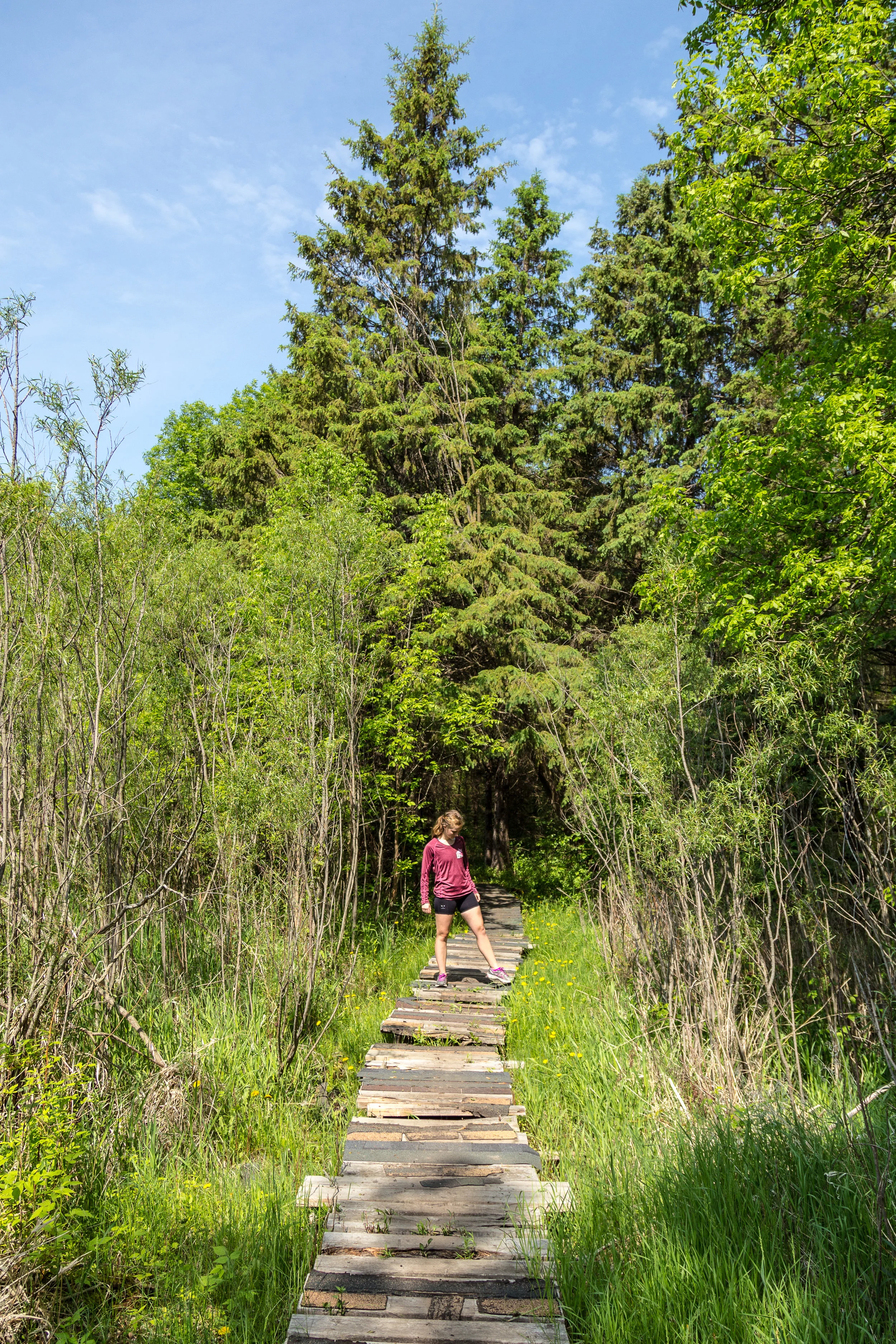 TrailRun_Greta-137.jpg