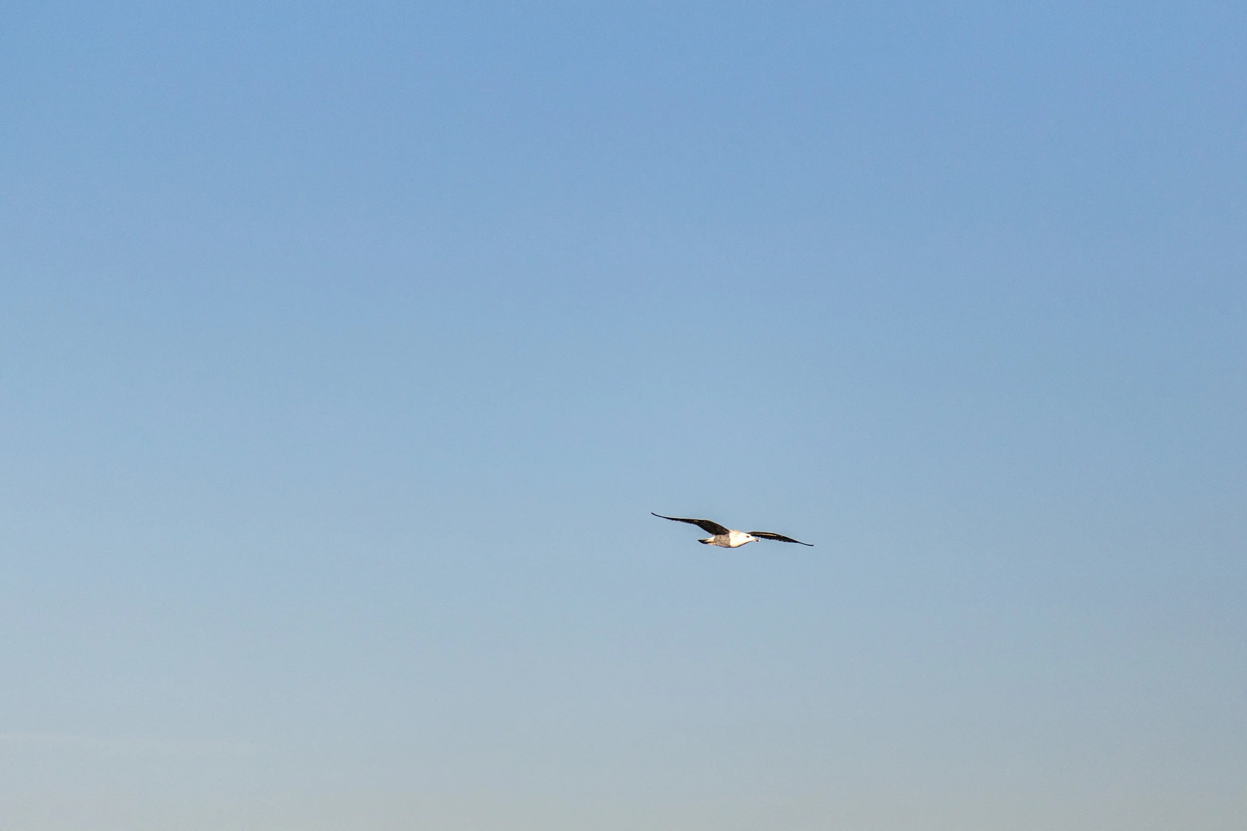 SpringTour-1032.jpg