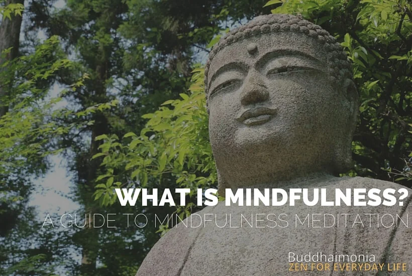 What is Mindfulness? A Guide to Mindfulness via Buddhaimonia, Zen for Everyday Life