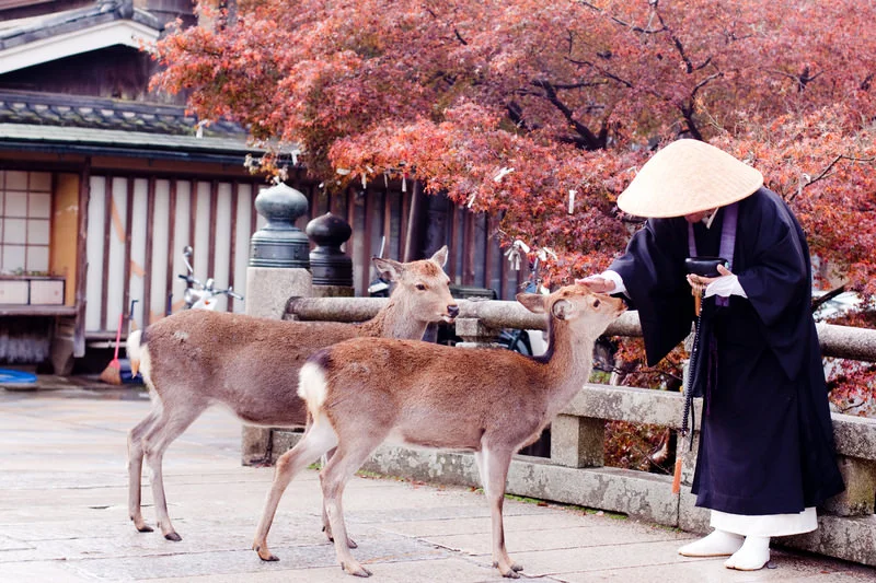 12 Pieces of Buddhist Wisdom That Will Transform Your Life