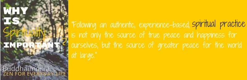 The Ultimate Guide to Spirituality Quote Box 2 via Buddhaimonia, Zen for Everyday Life