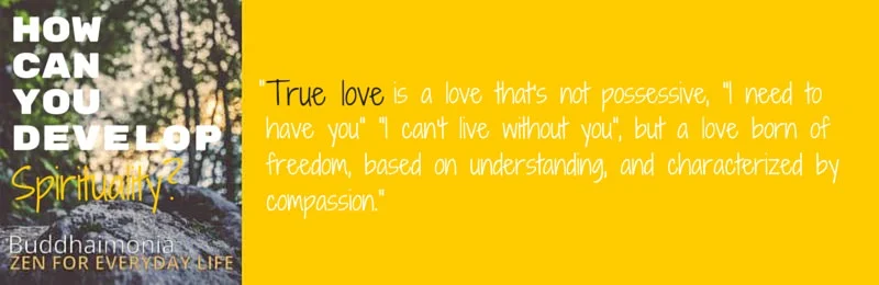 The Ultimate Guide to Spirituality Quote Box 6 via Buddhaimonia, Zen for Everyday Life_mini