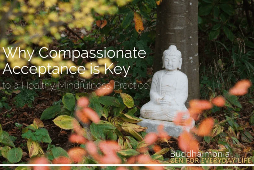 Why Compassionate Acceptance is Key to a Healthy Mindfulness Practice (and How to Do It)