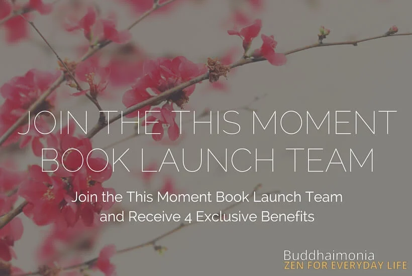 Join the This Moment Book Launch Team (1)
