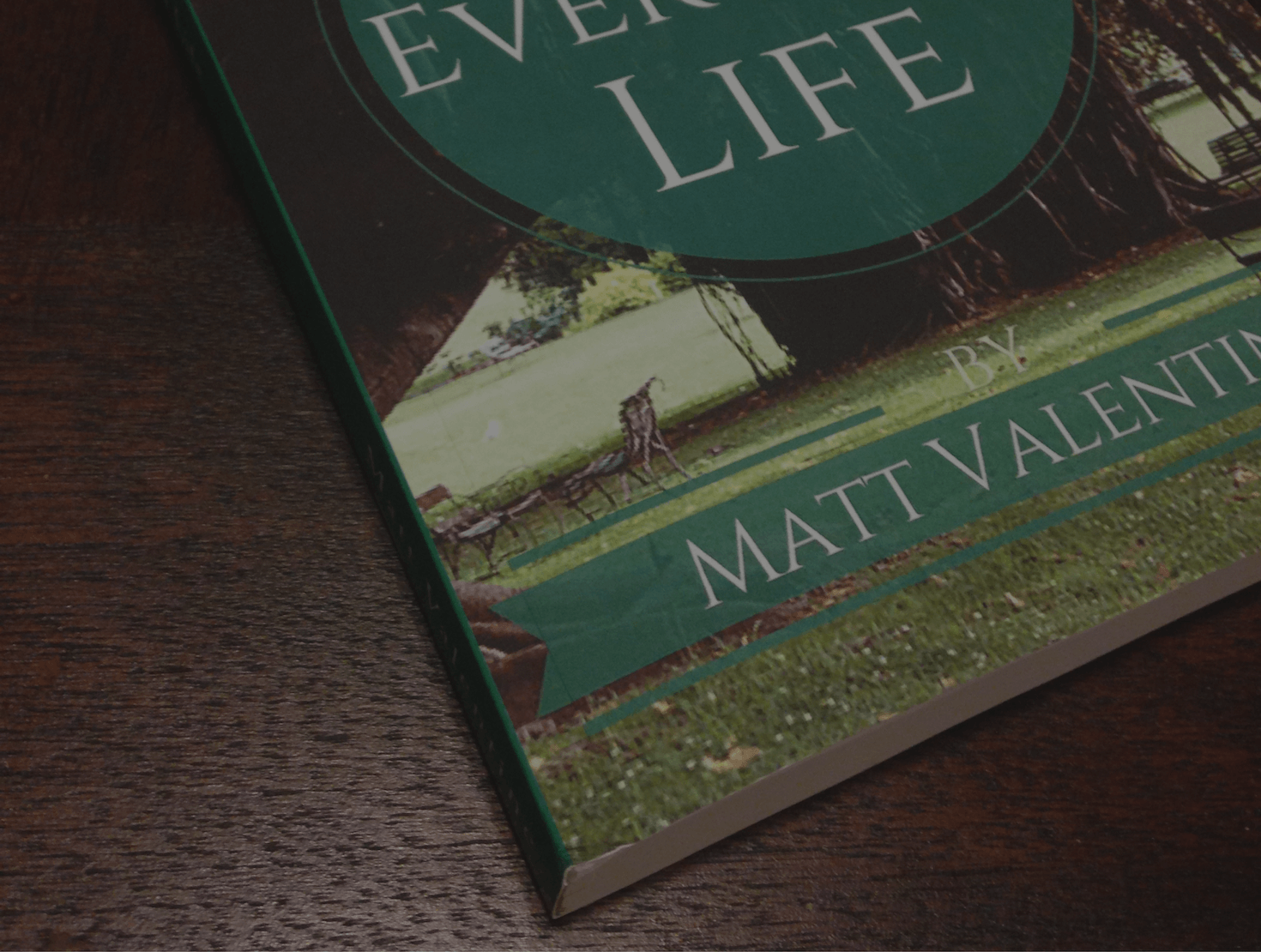 Books & Courses Page Header (1).png
