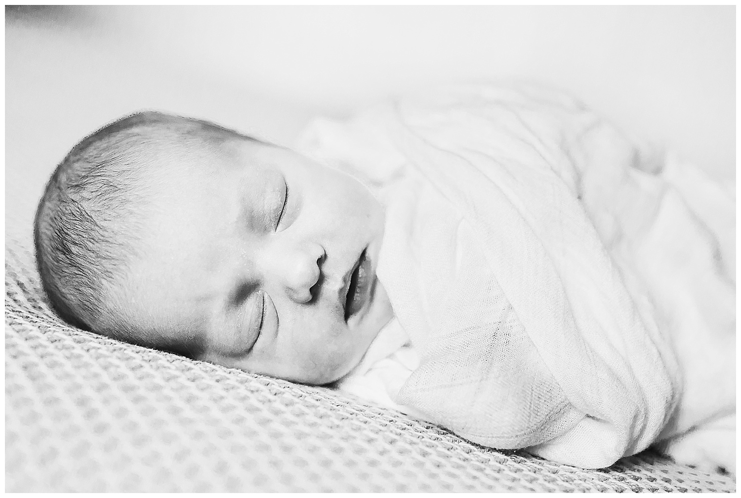 Newborn Sleeping Toronto Photo