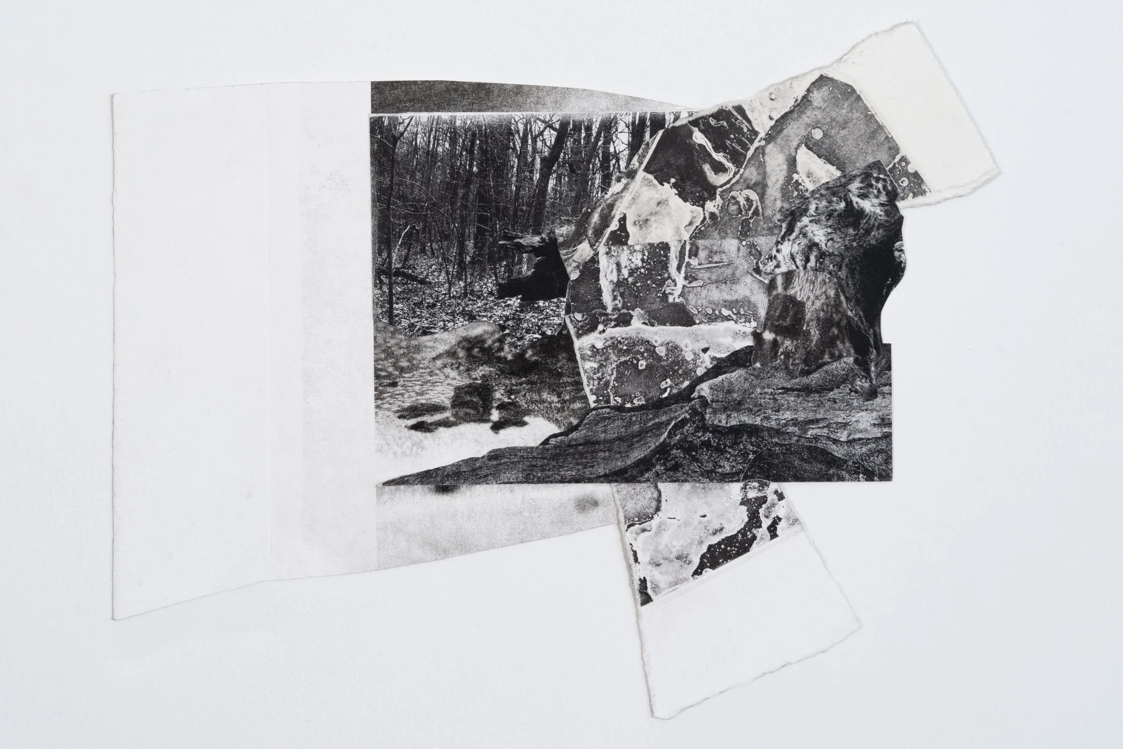 Rock & Stump, 2022
Collaged photogravure and whiteground etching
11” x 16”