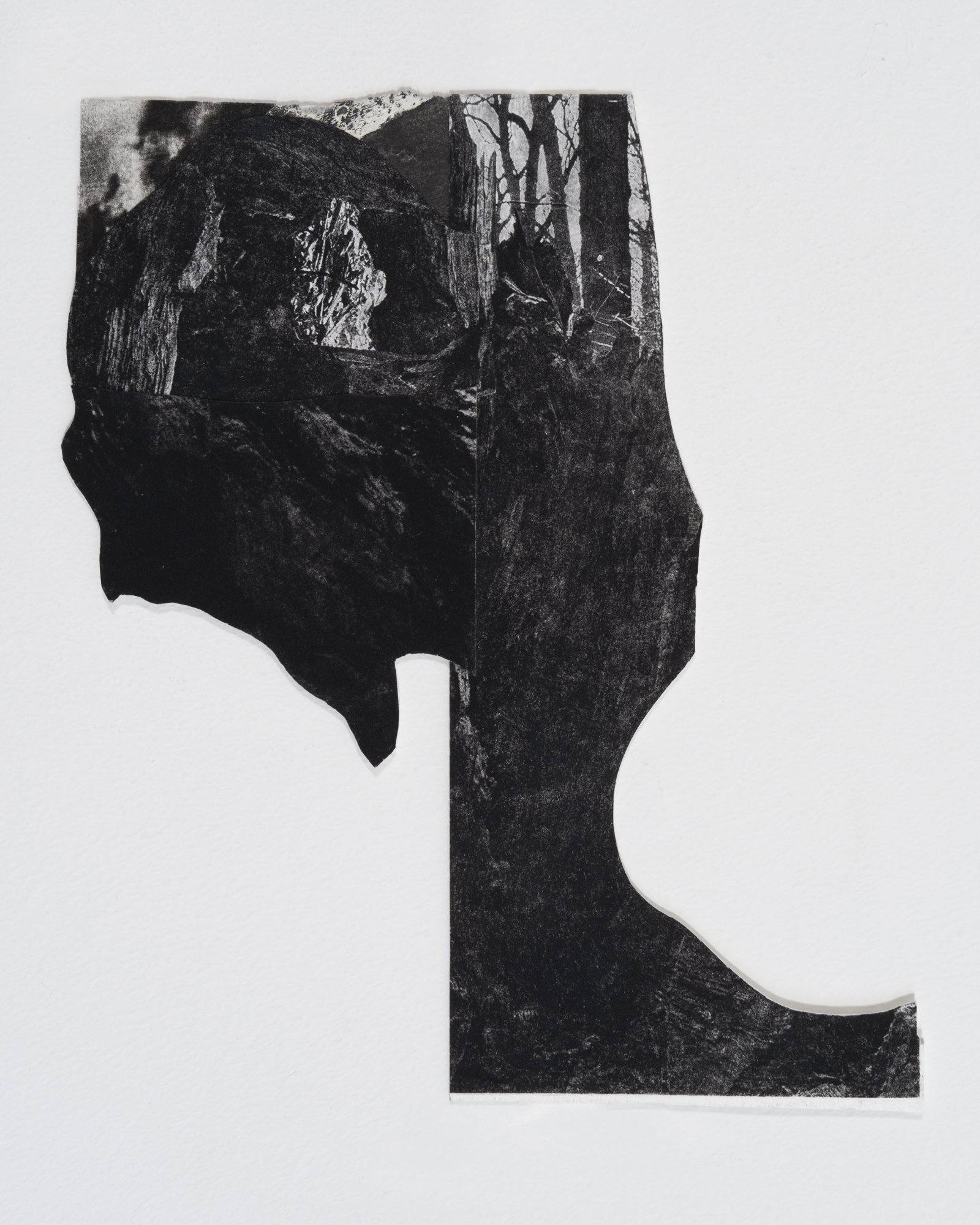 Night Cliff, 2022,
Collaged photogravure and whiteground etching,
8.5” x 10”