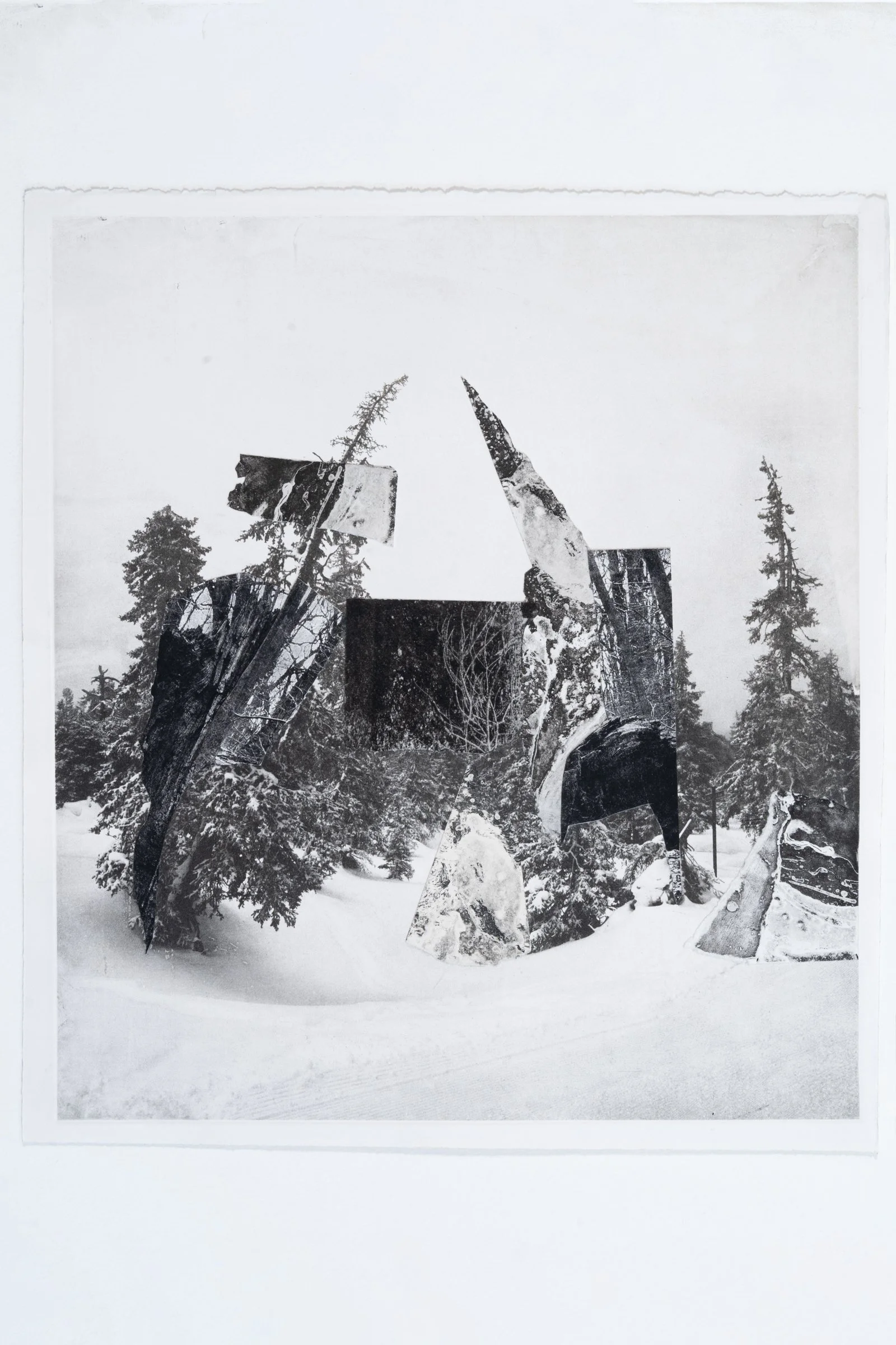 Night Portal, 2022
Collaged photogravure and whiteground etching
16” x 17.25”