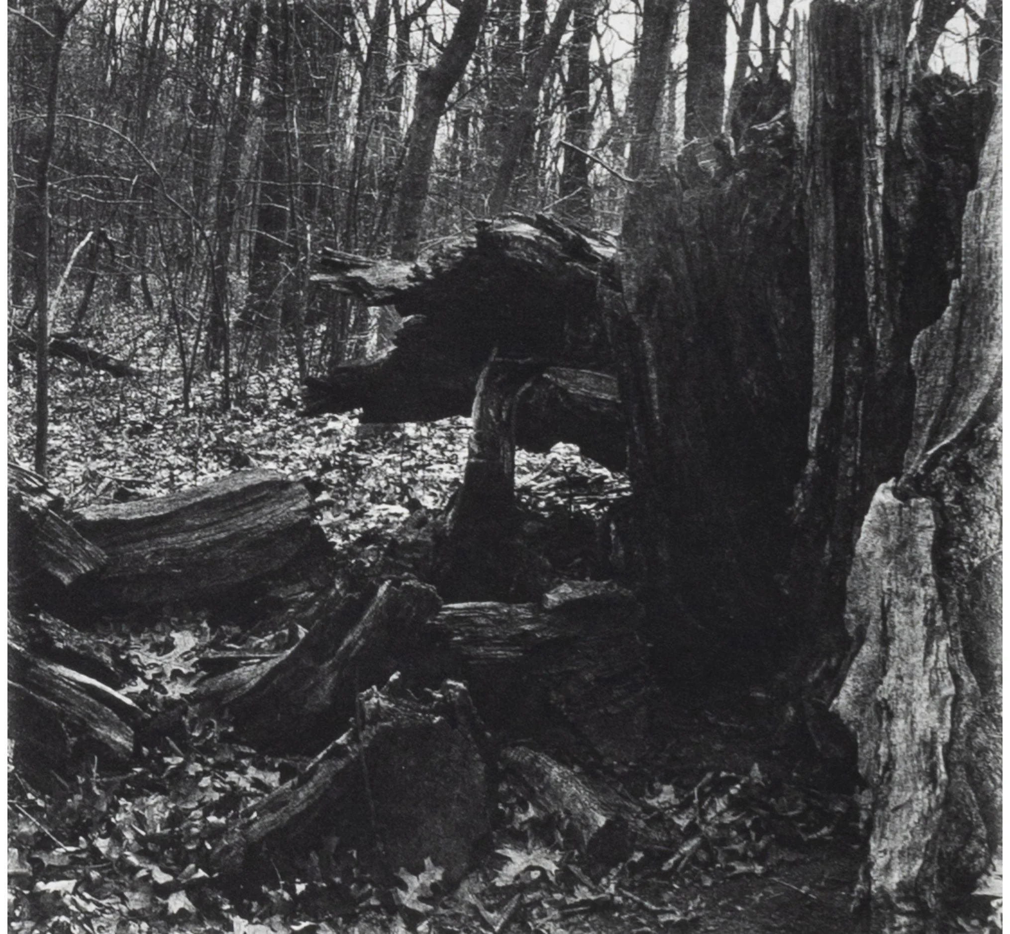 Roots-Underworld-Series-11.jpg