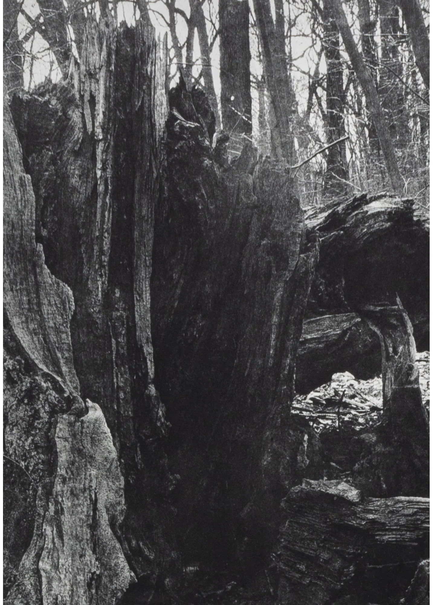 Roots-Underworld-Series-14.jpg